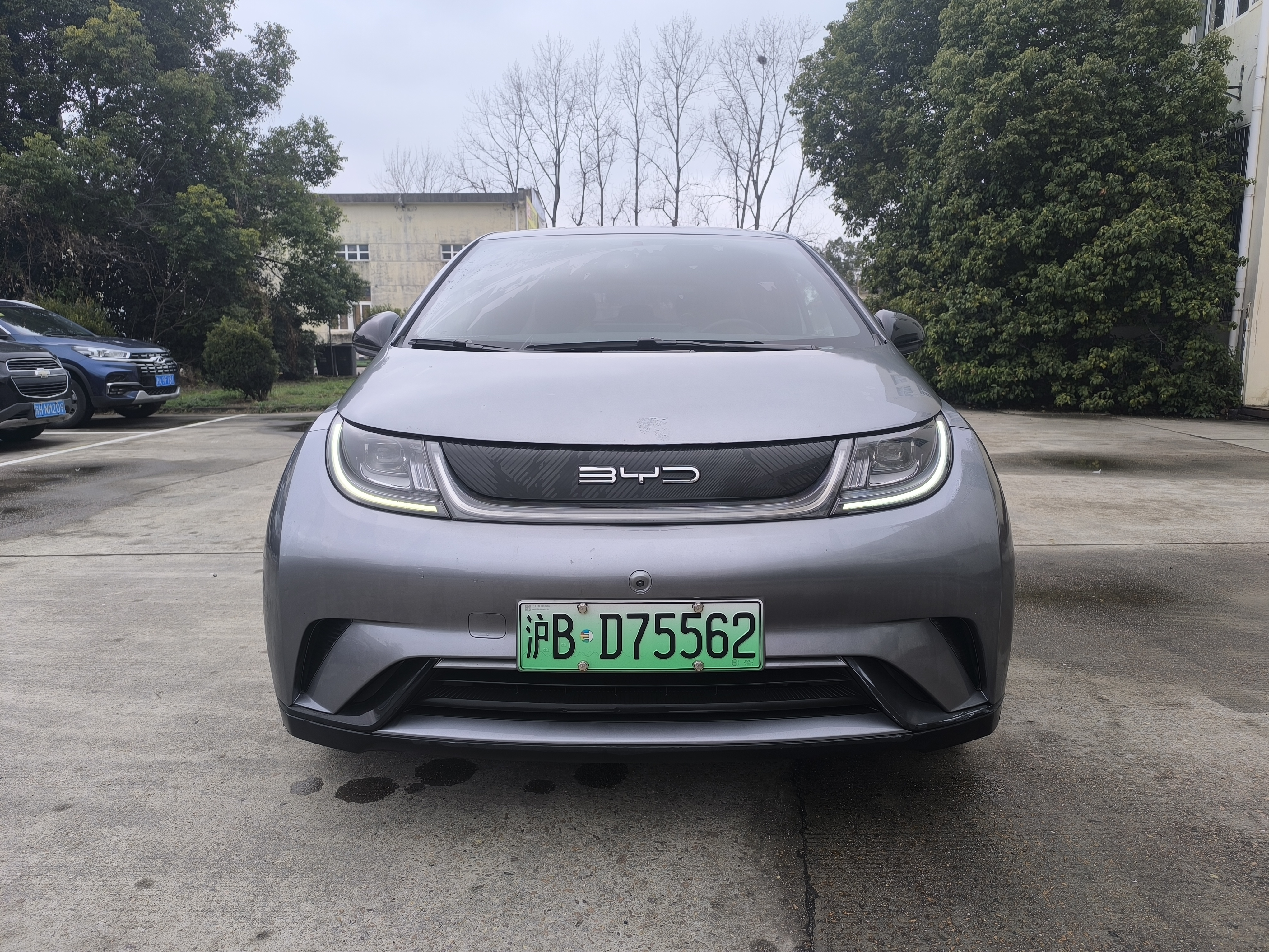 BYD Dolphin 2023 car image 