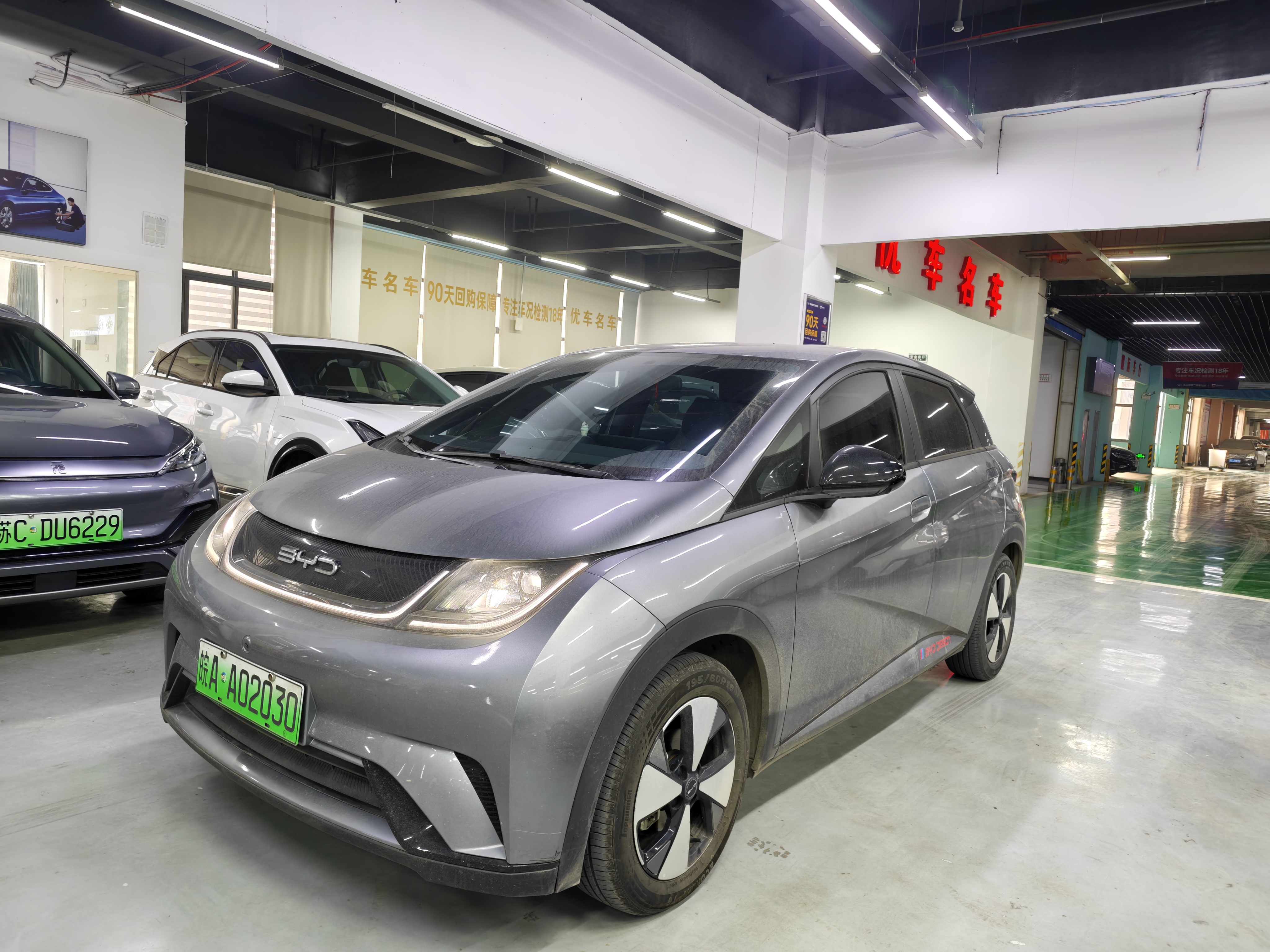 BYD Dolphin 2023 car image 