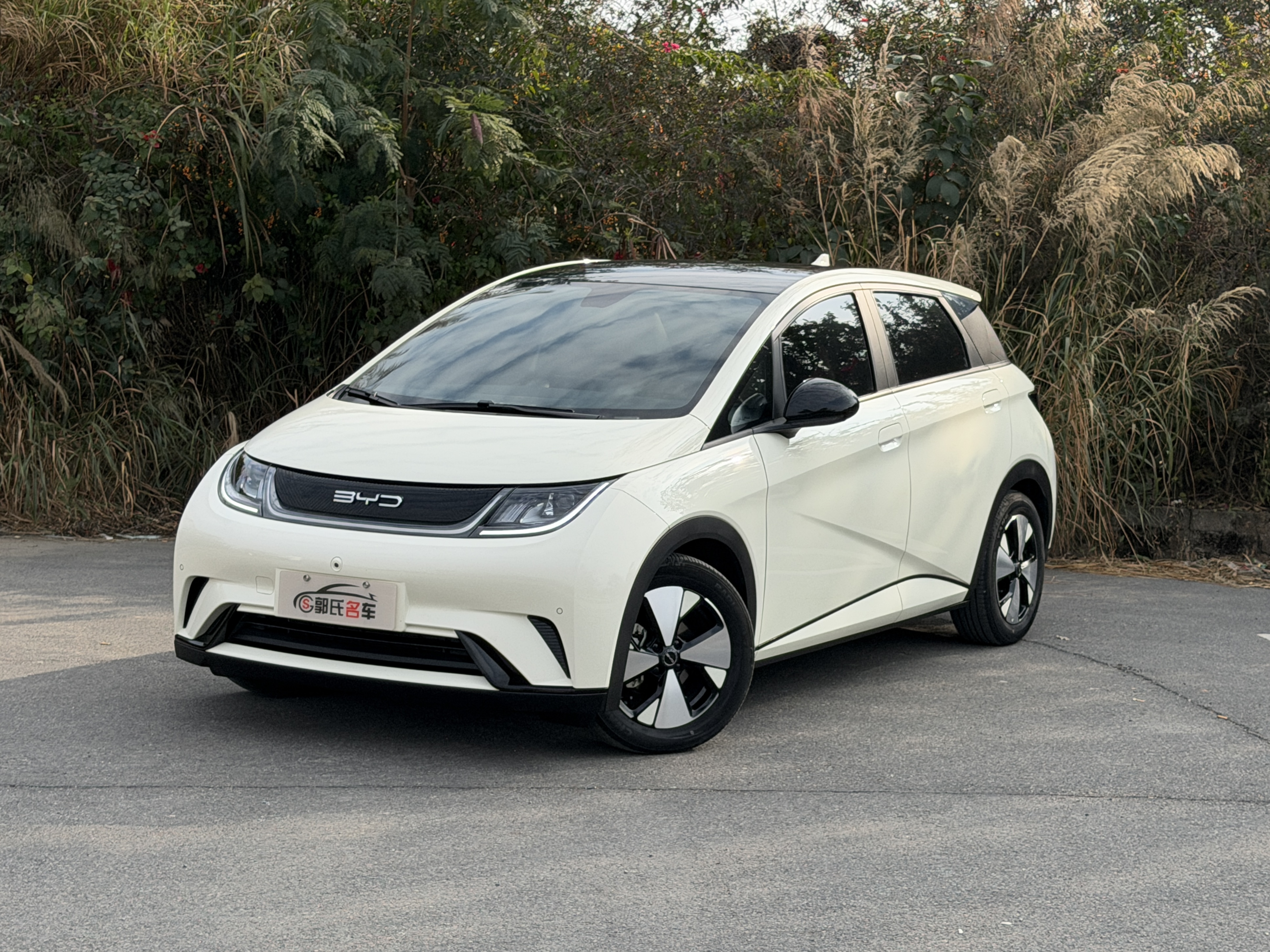 BYD Dolphin 2023 car image 
