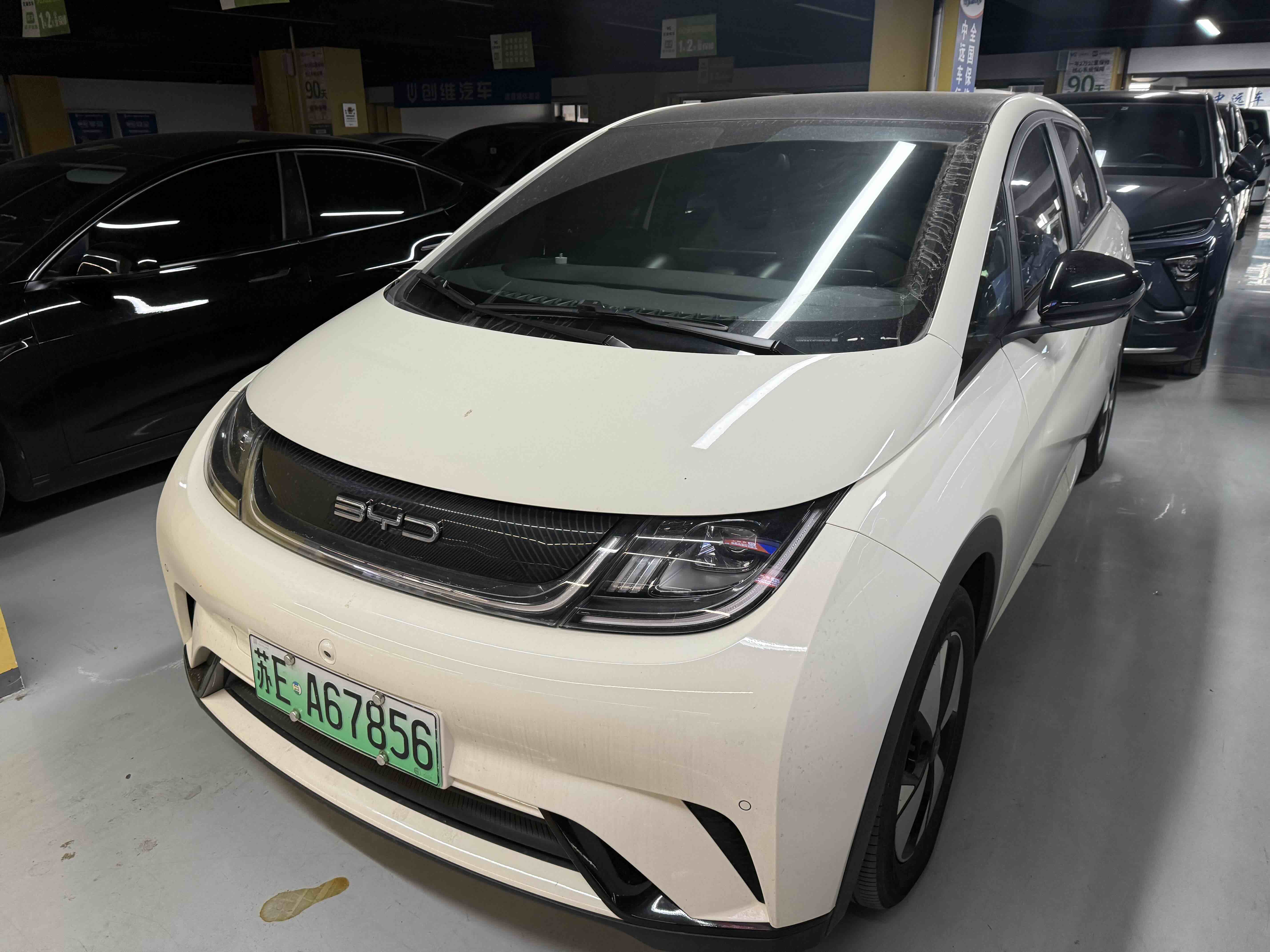 BYD Dolphin 2023 car image 