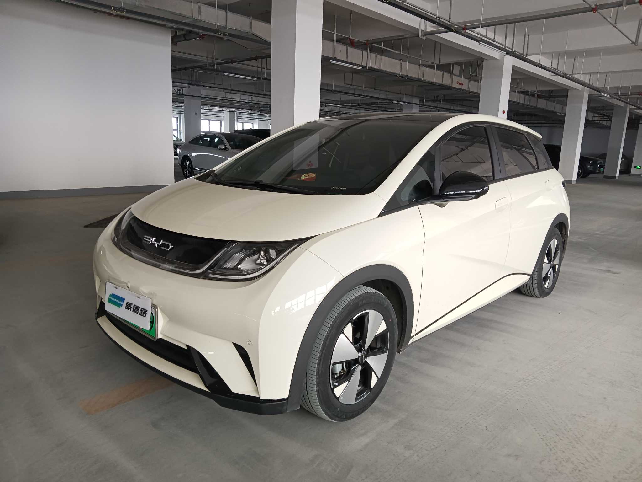 BYD Dolphin 2023 BYD Dolphin 2023 صورة سيارة