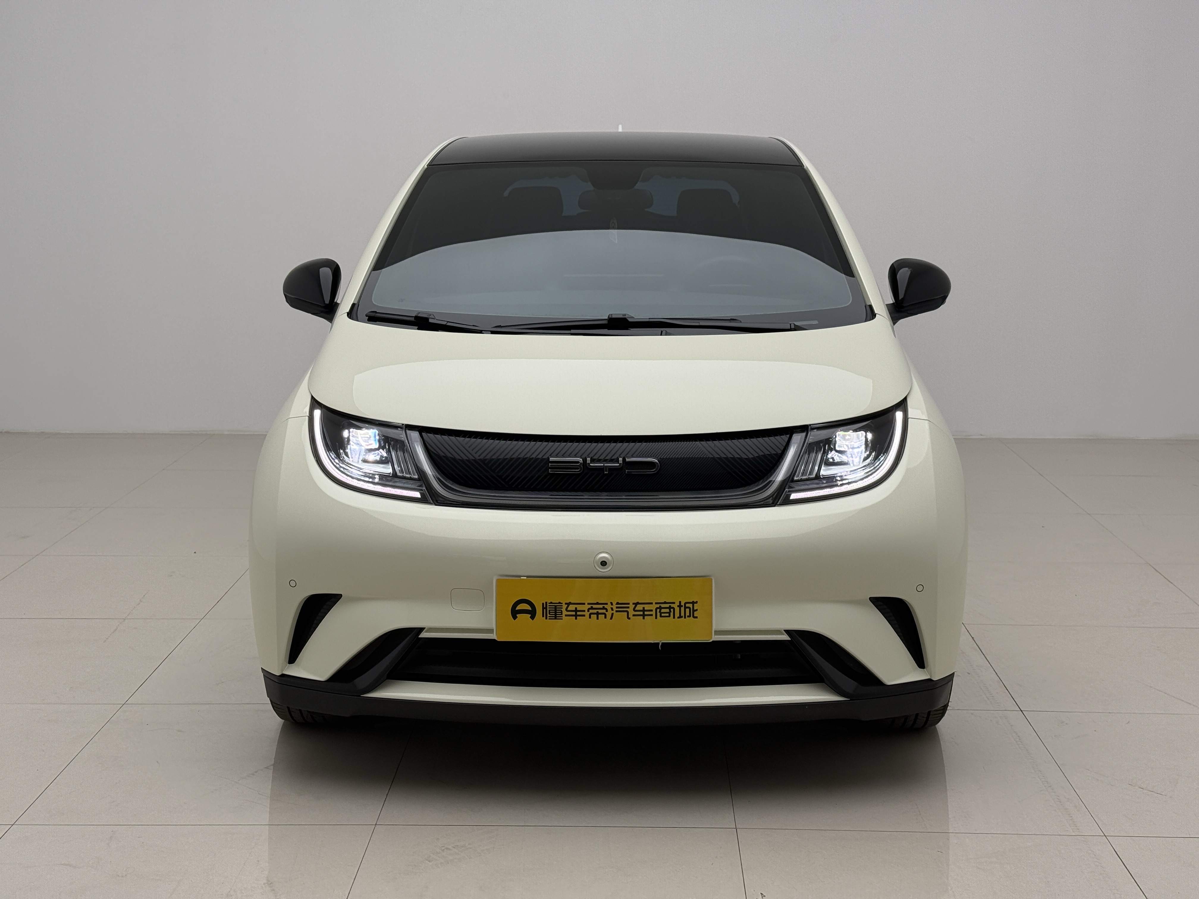 BYD Dolphin 2024 car image 