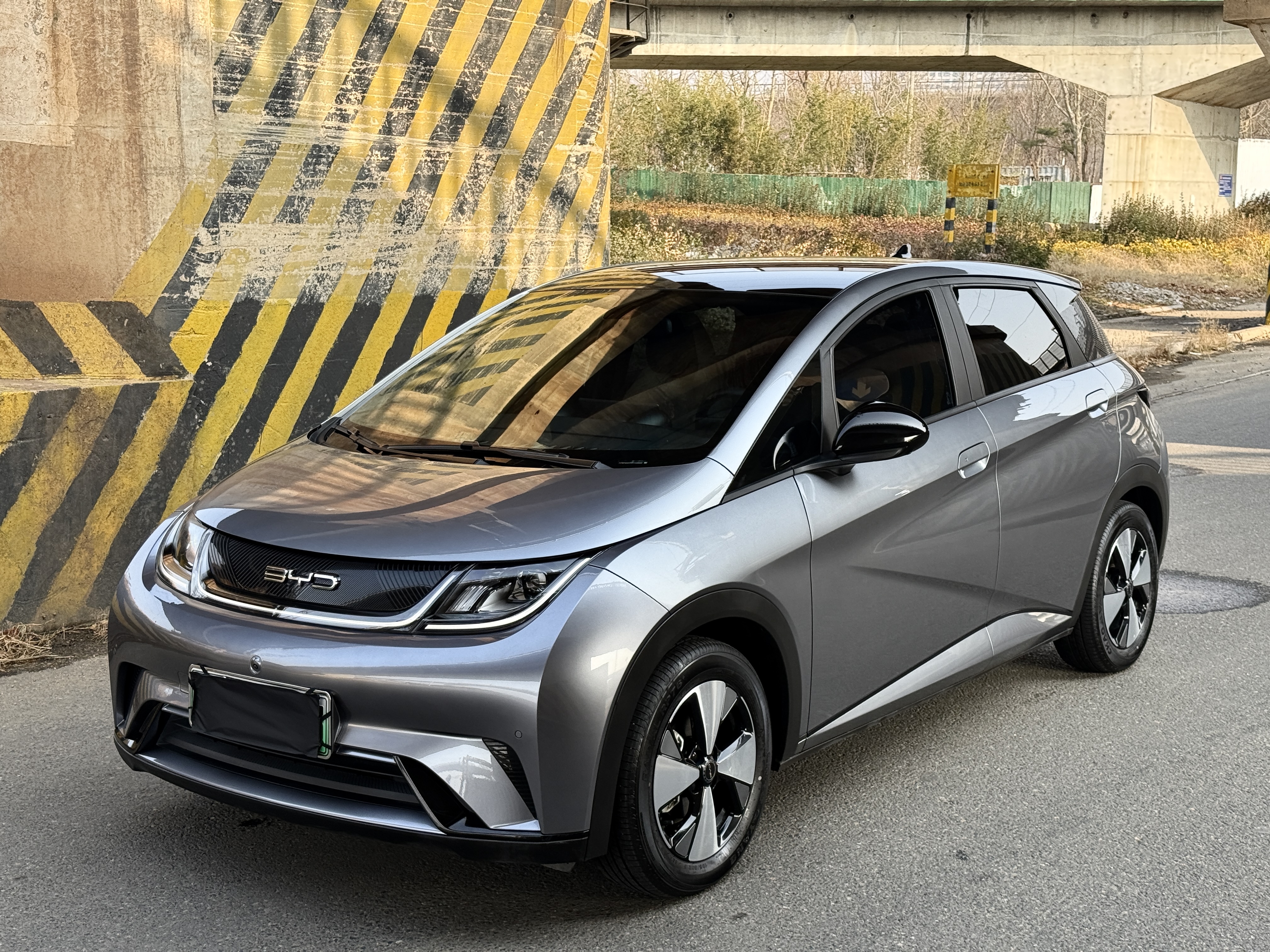 BYD Dolphin 2023 car image 