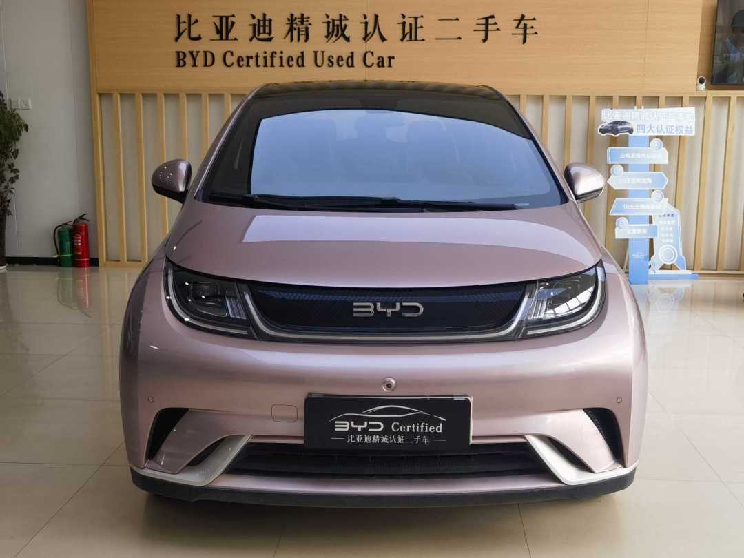 BYD Dolphin 2023 BYD Dolphin 2023 car image
