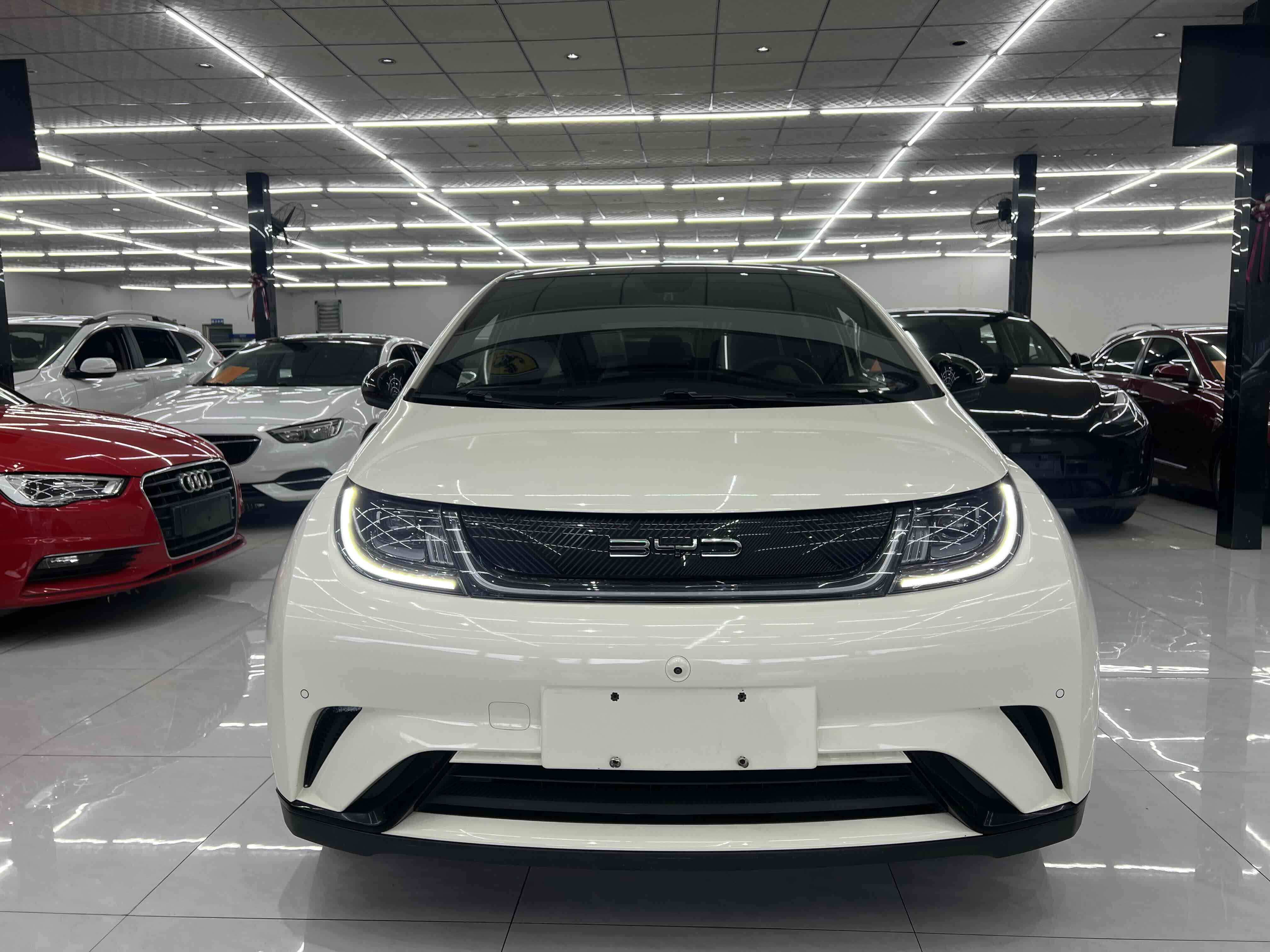 BYD Dolphin 2023 BYD Dolphin 2023 car image