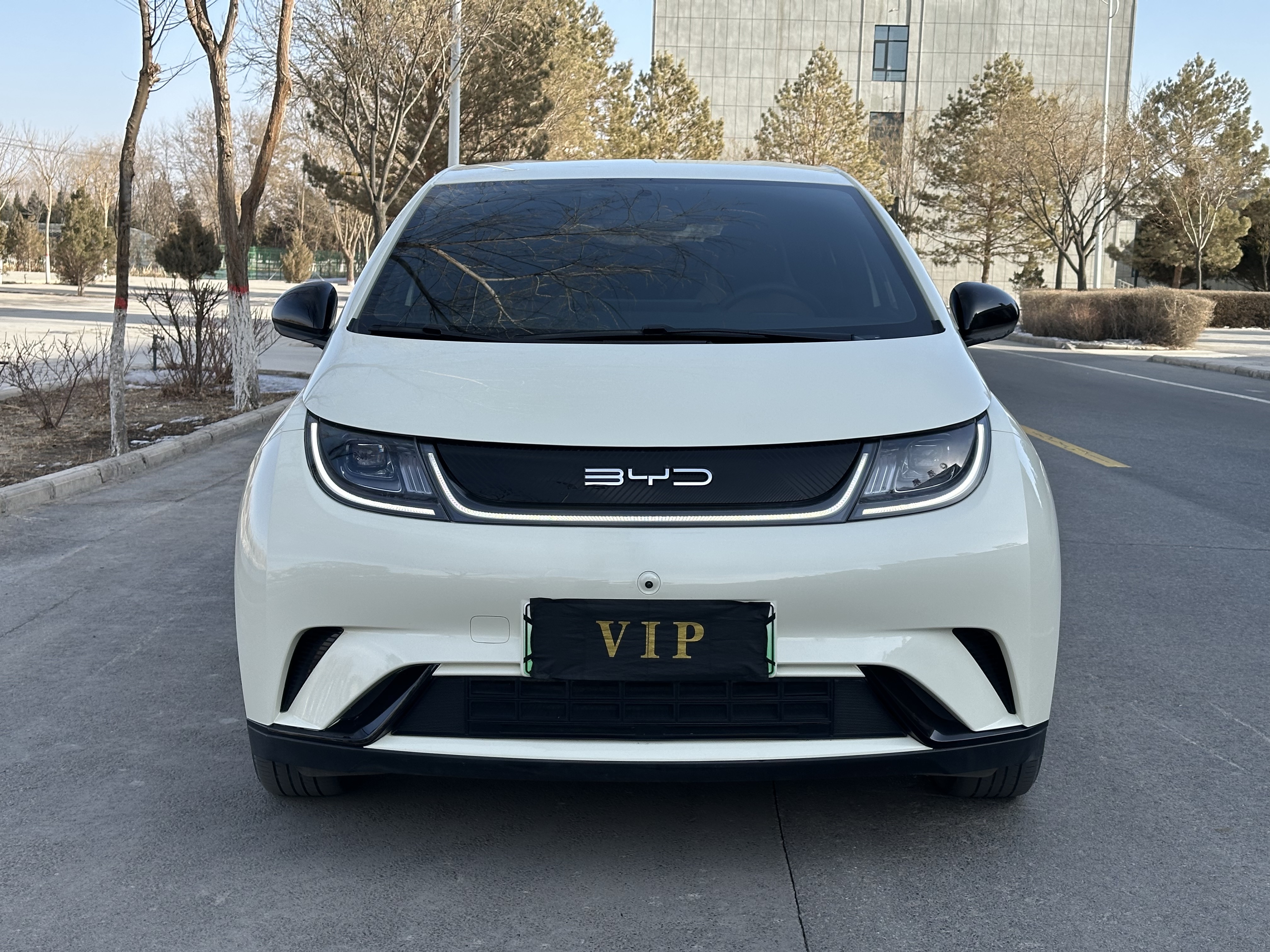 BYD Dolphin 2024 car image 