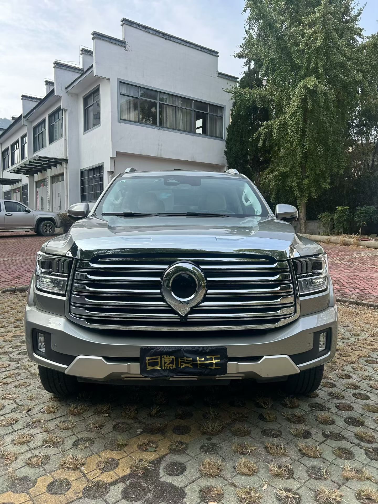 Great Wall Shanhai Pao 2023 car image 