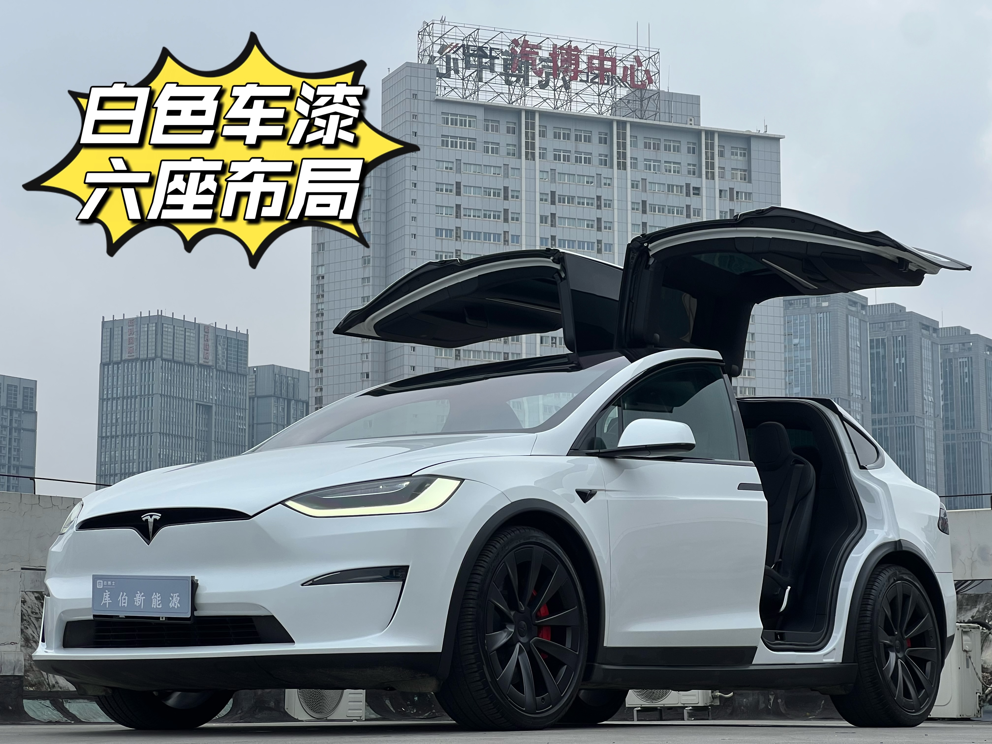 Tesla Model X 2024 car image 