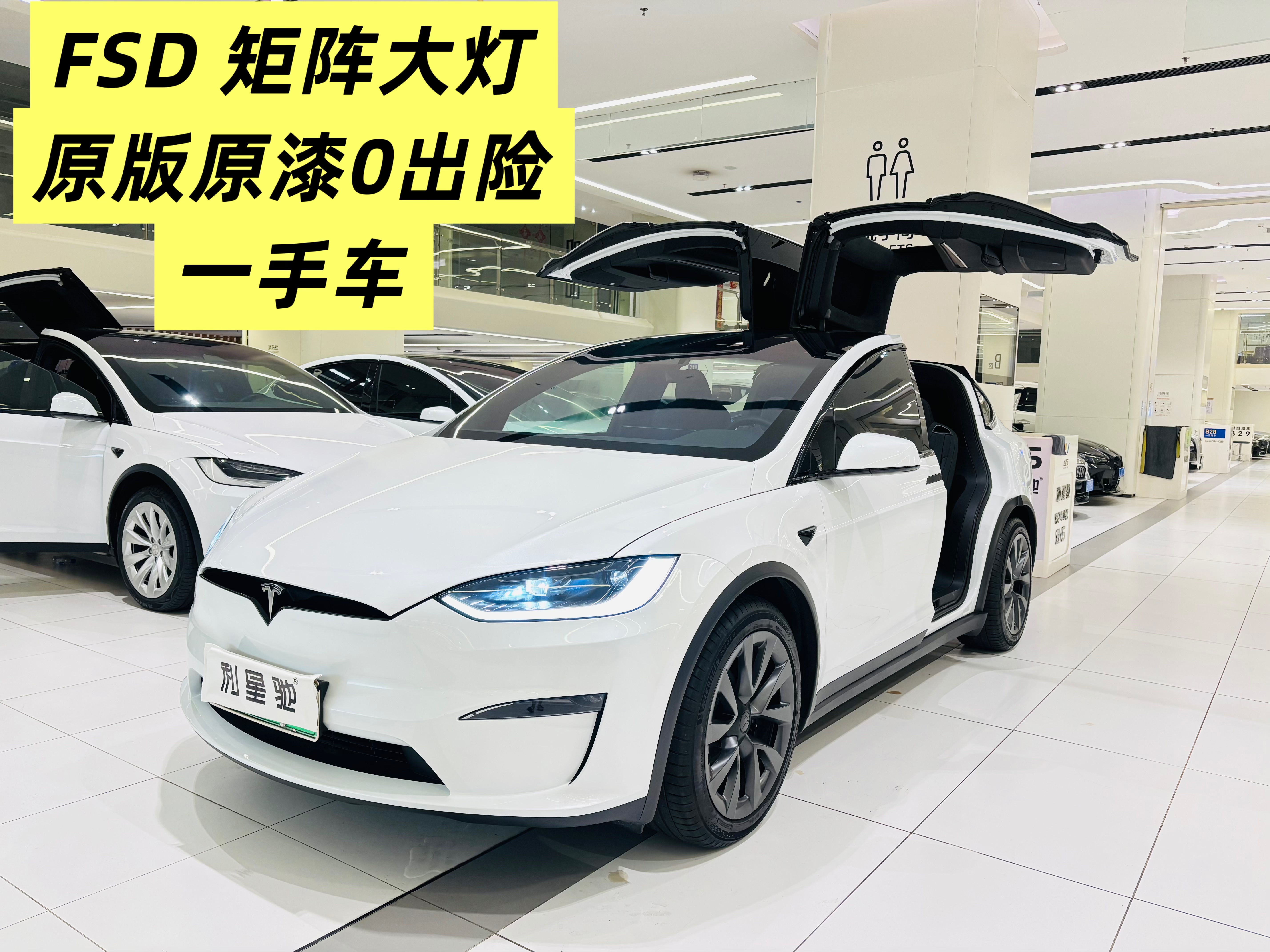 Tesla Model X 2024 汽车图片 