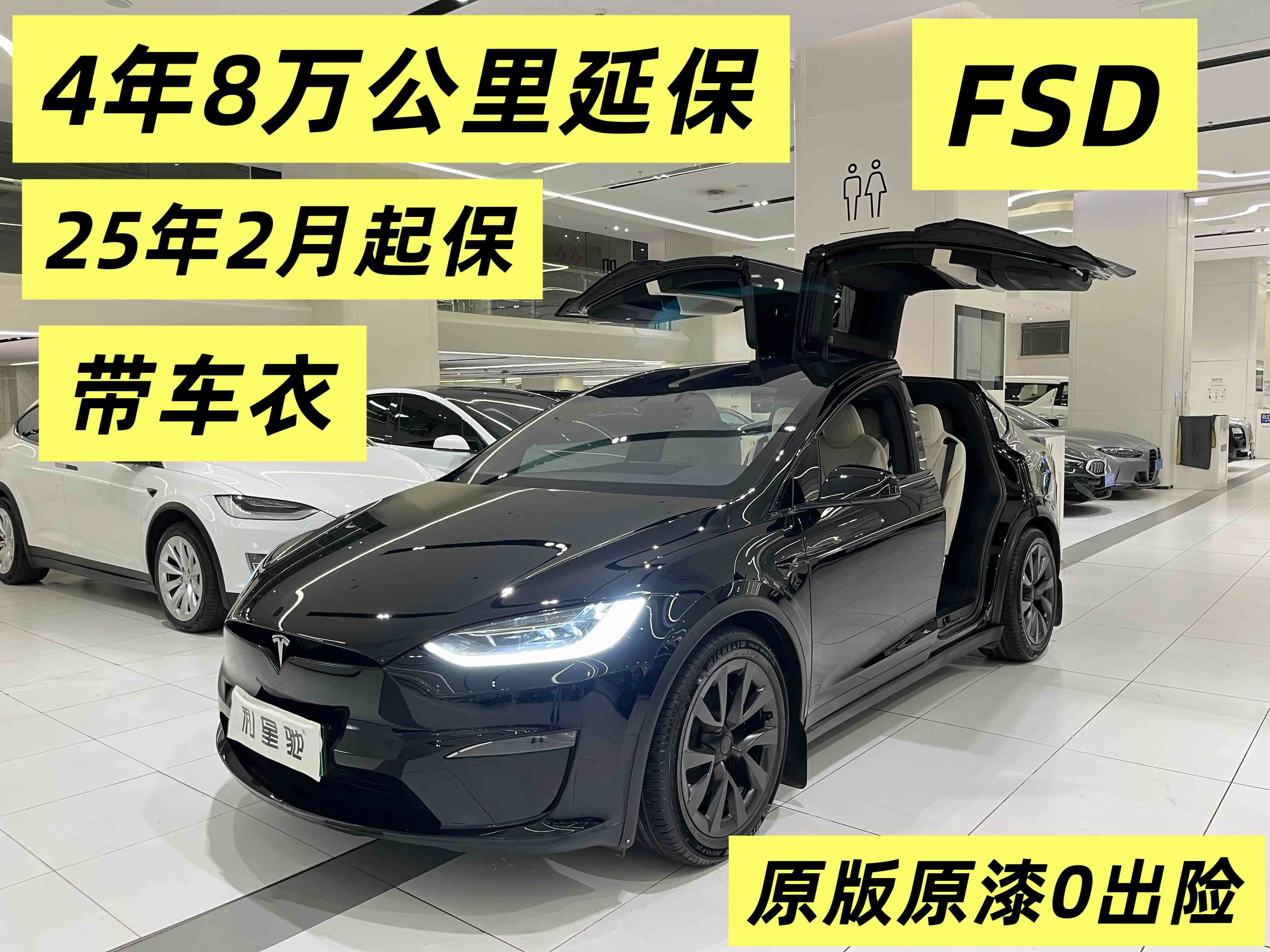 Tesla Model X 2023 汽车图片 