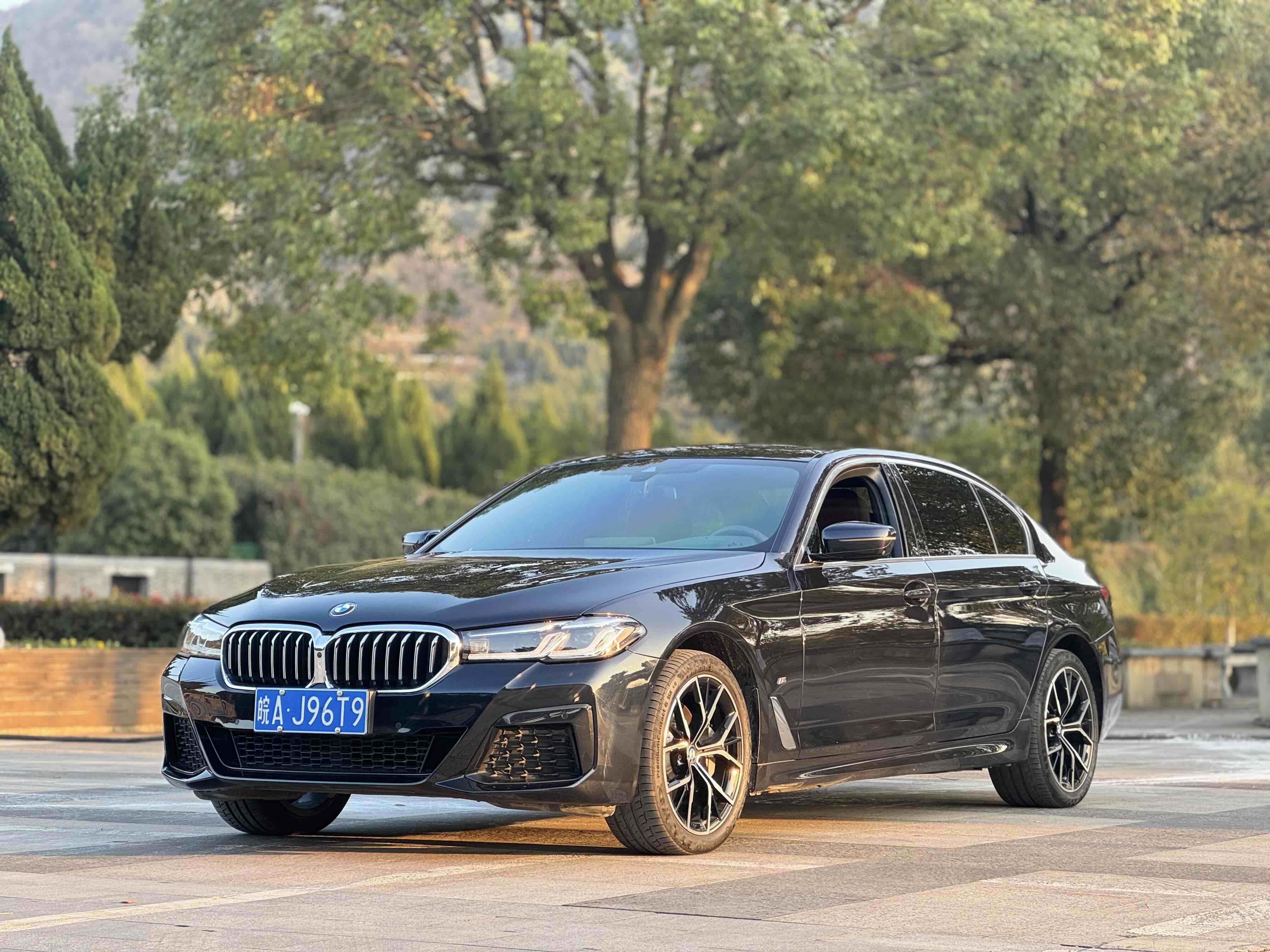 BMW 5 Series 2023 car image 
