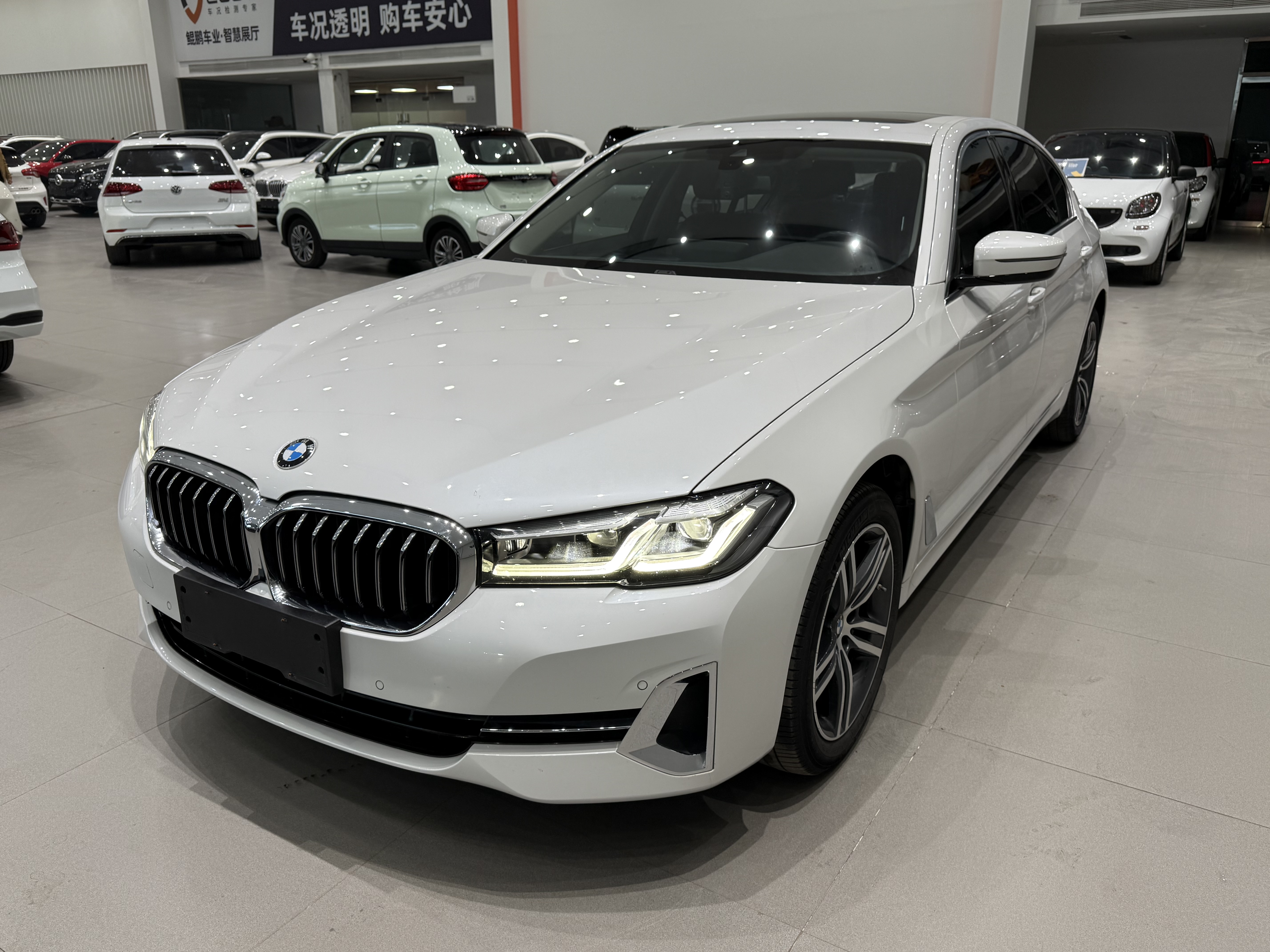 BMW 5 Series 2023 car image 