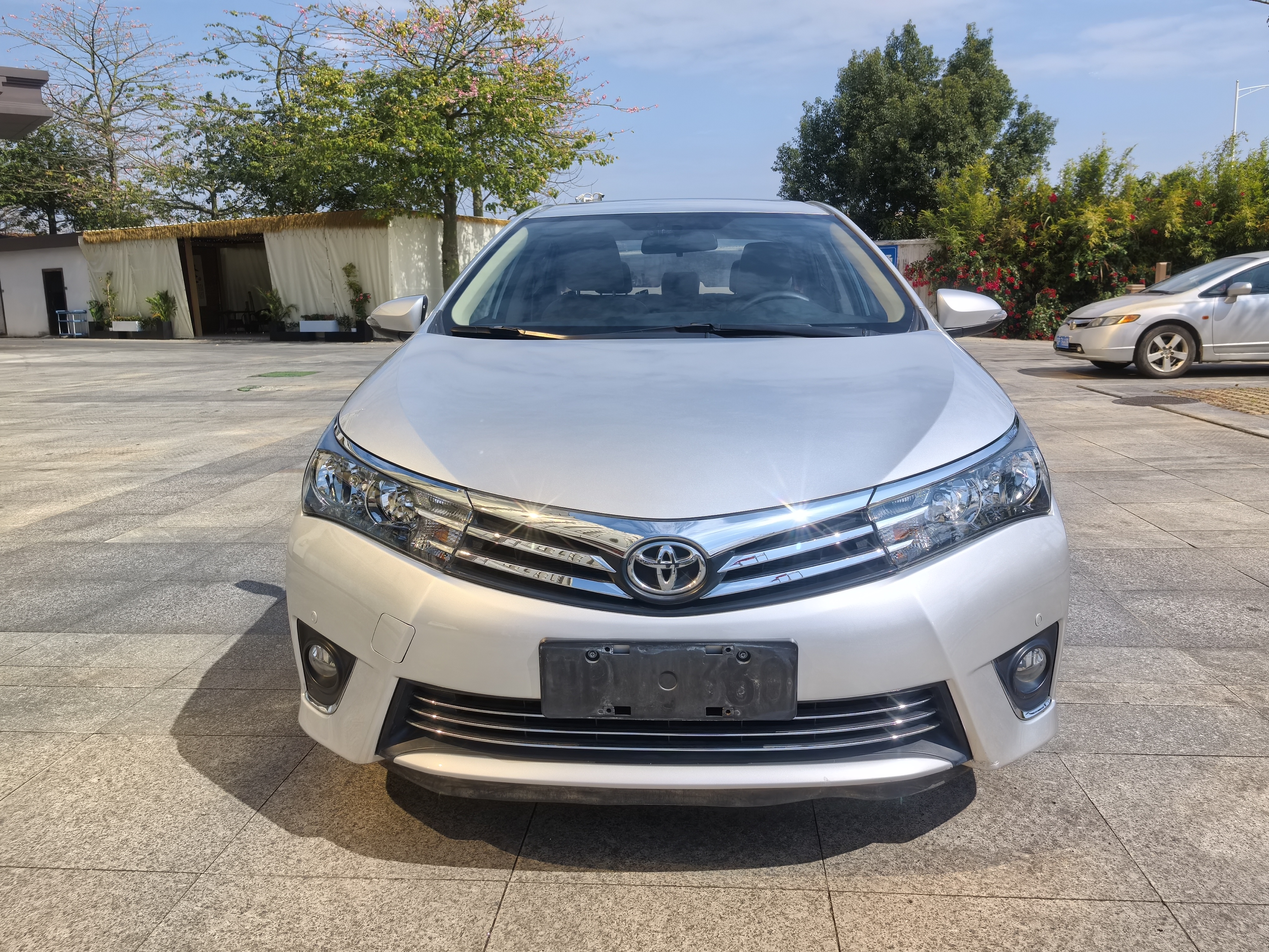 Toyota Corolla 2016 Toyota Corolla 2016 immagine di auto