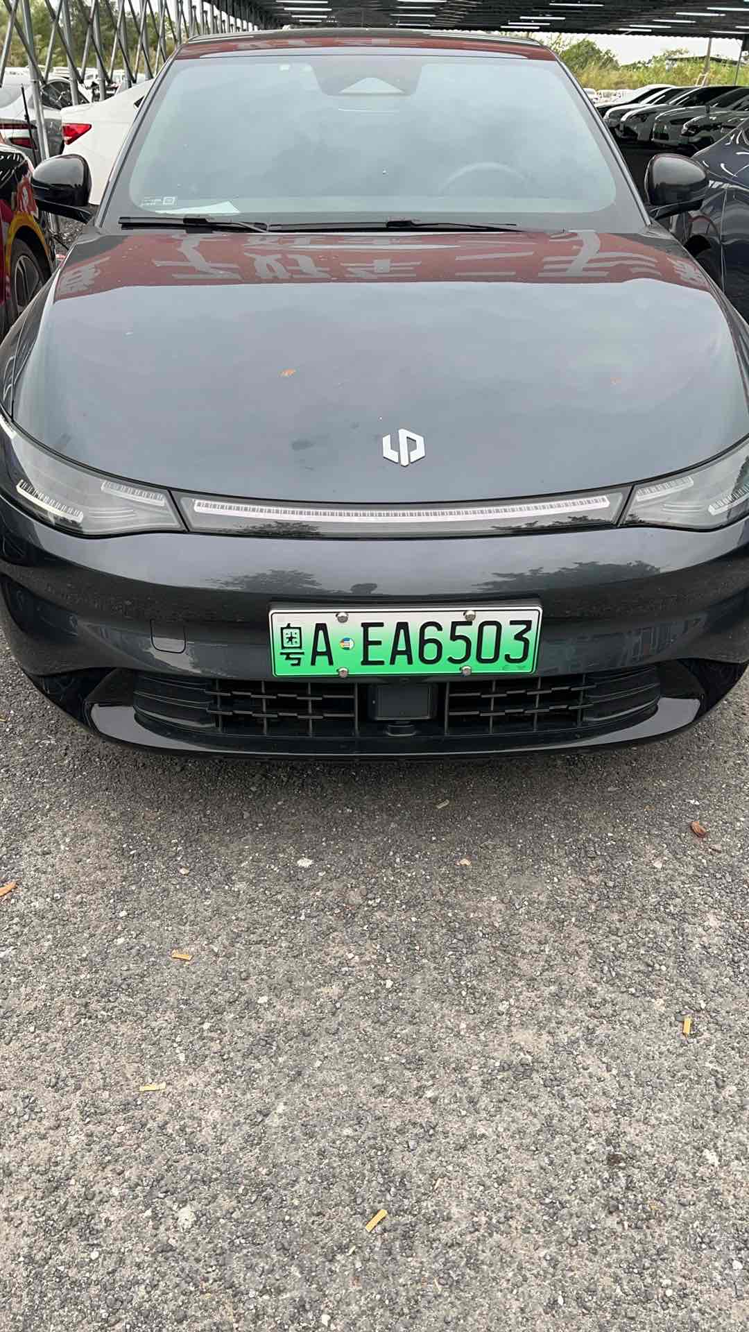 Leapmotor C01 2023 汽车图片 