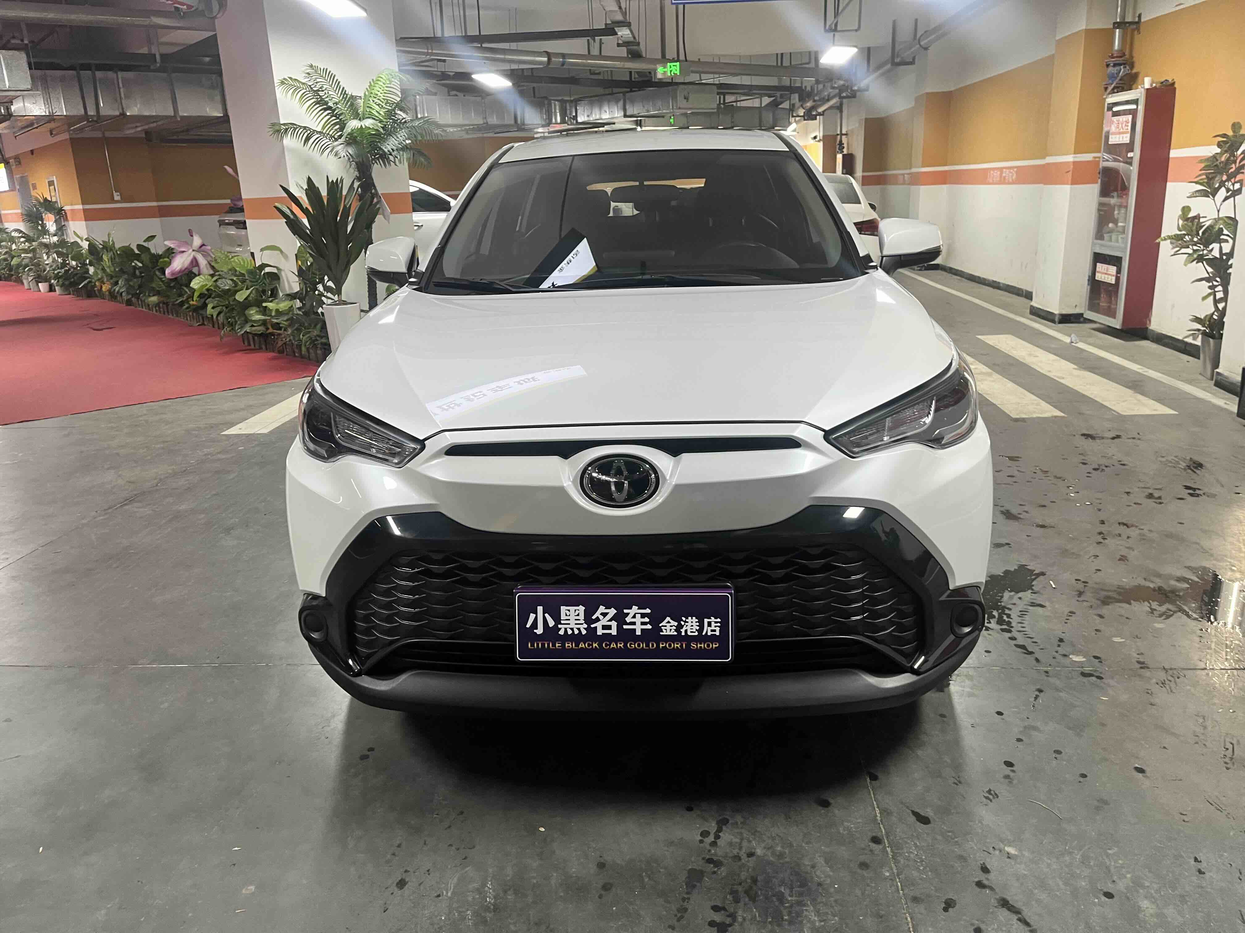 Toyota Frontlander 2023 汽车图片 