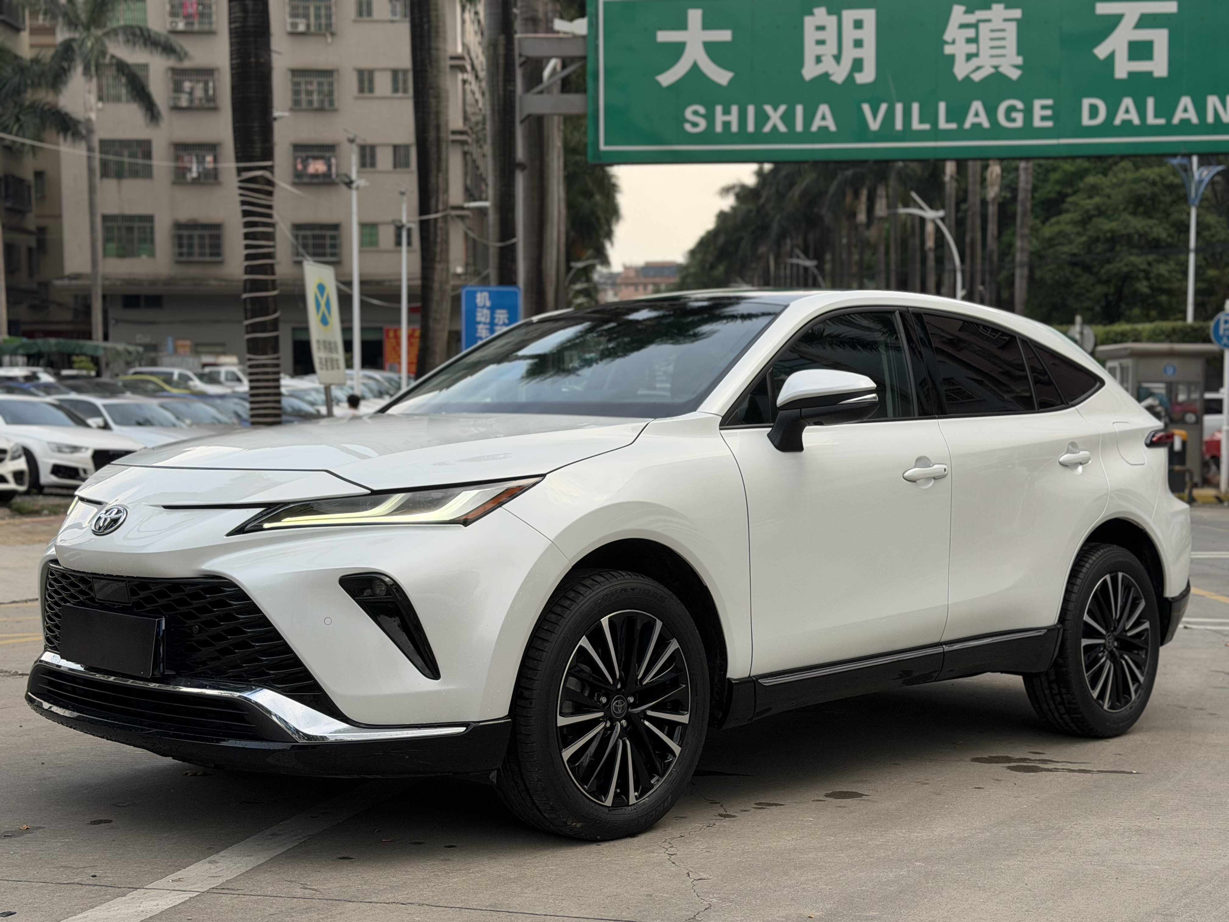 Toyota Venza 2023 汽车图片 