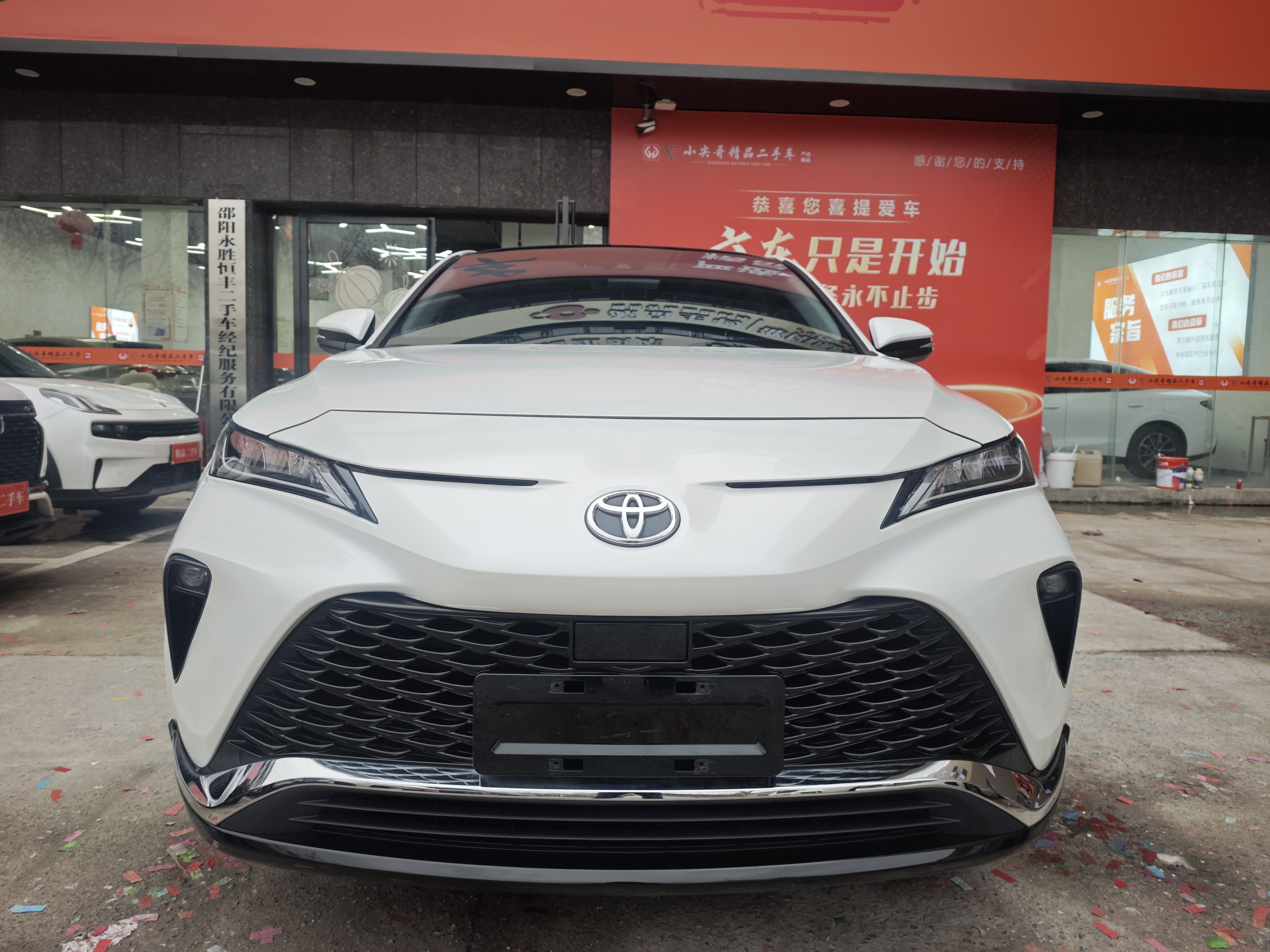 Toyota Venza 2024 Toyota Venza 2024 immagine di auto