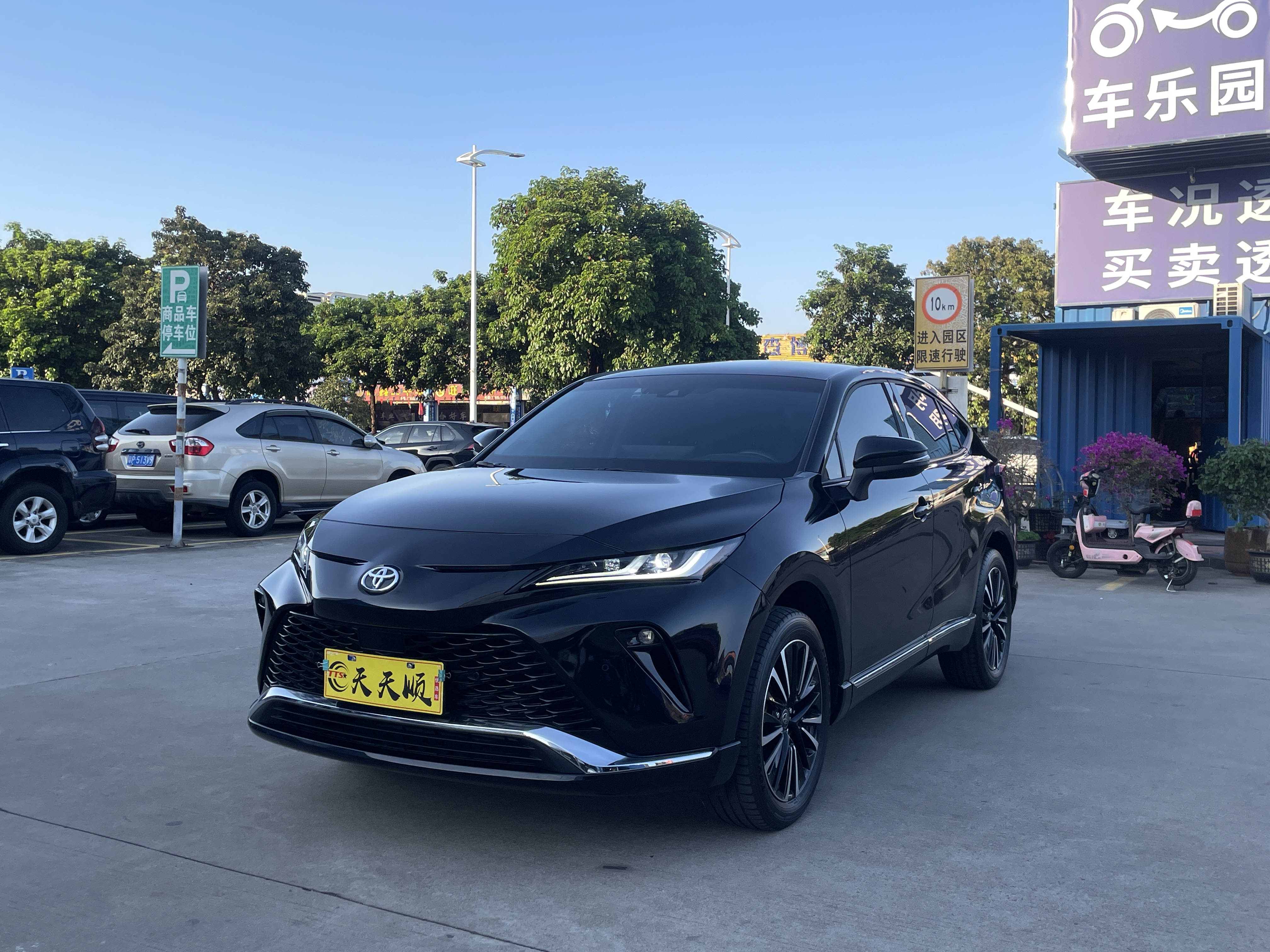 Toyota Venza 2024 汽车图片 