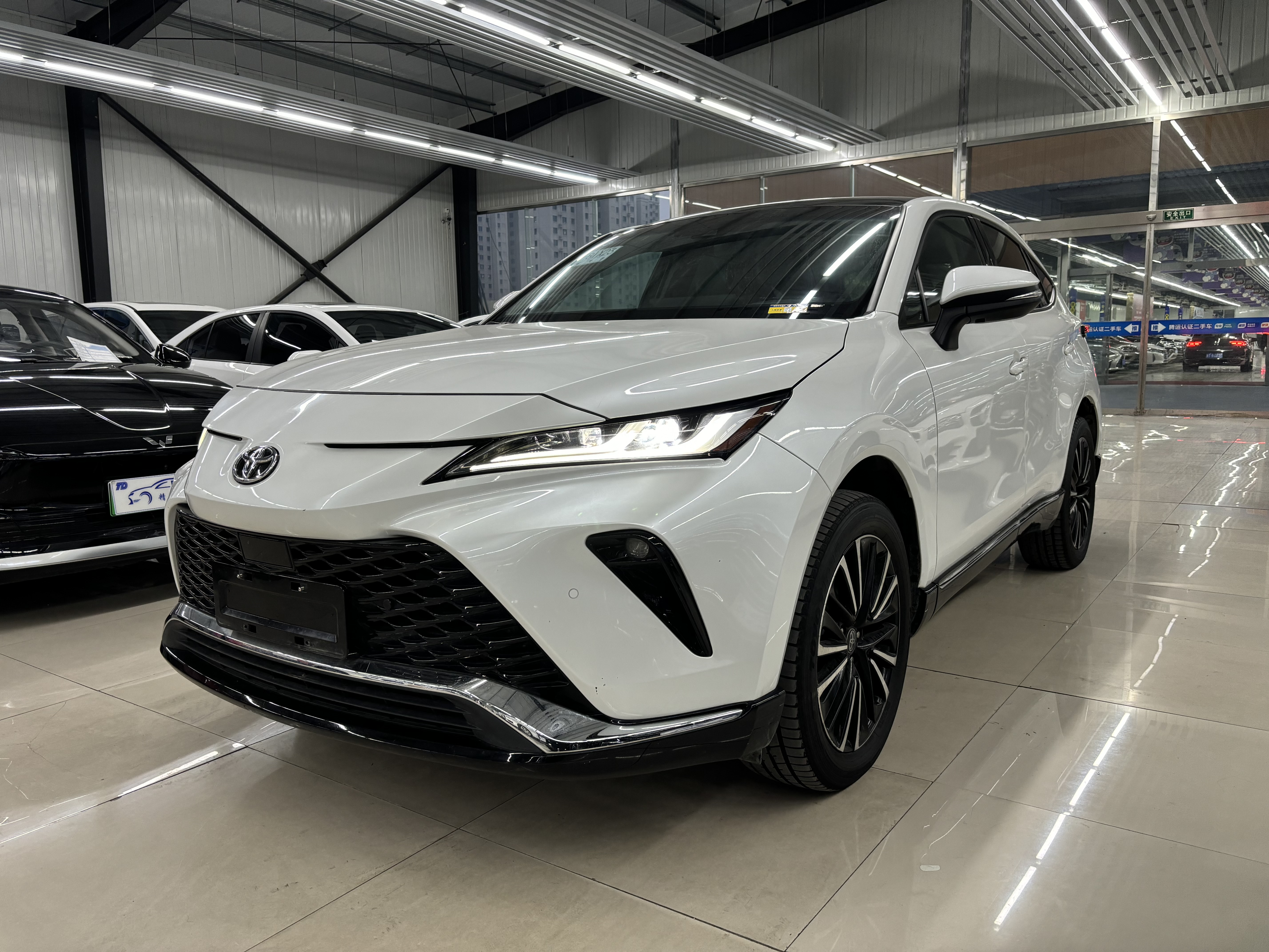 Toyota Venza 2023 Toyota Venza 2023 immagine di auto