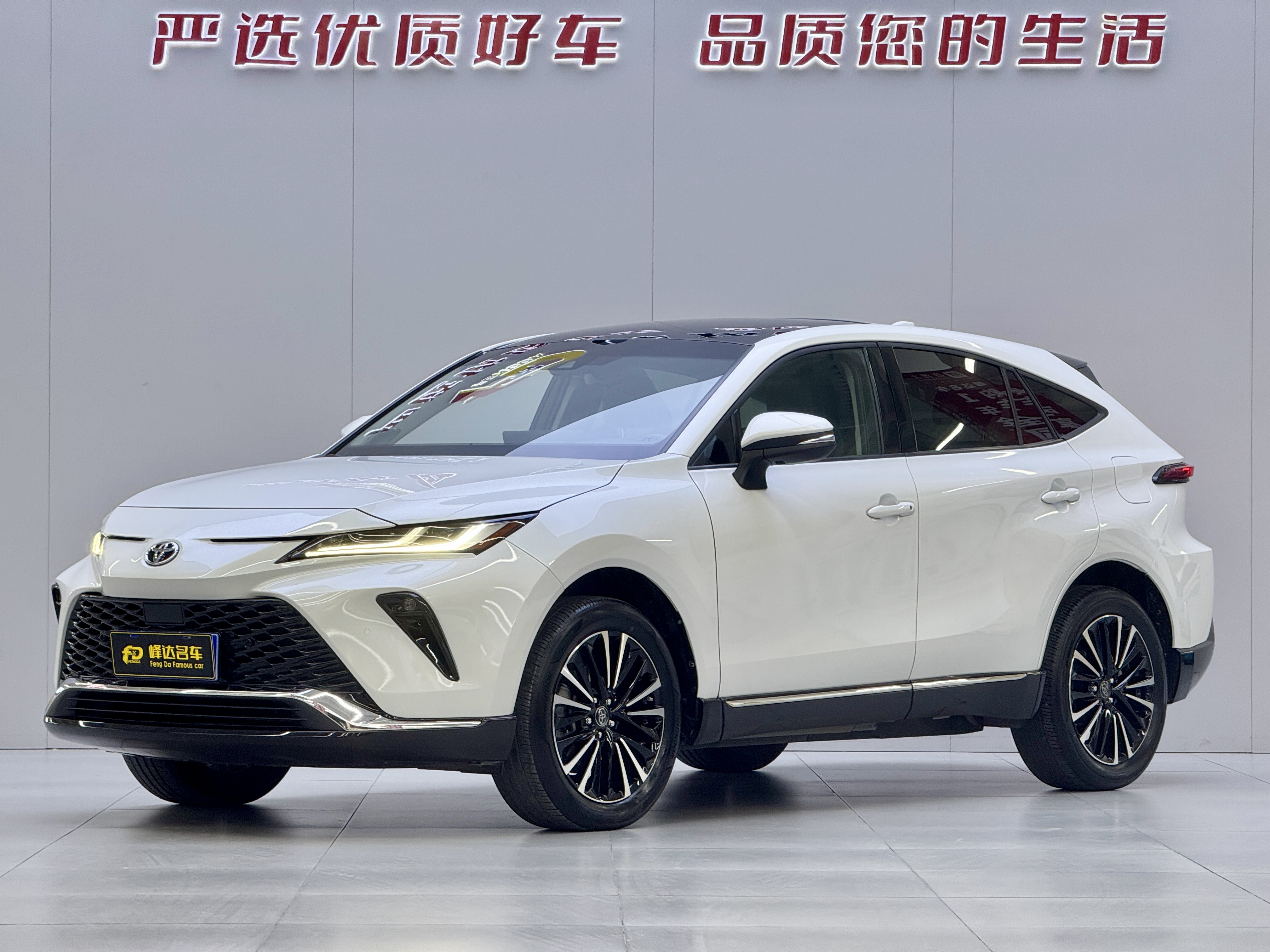 Toyota Venza 2024 Toyota Venza 2024 immagine di auto