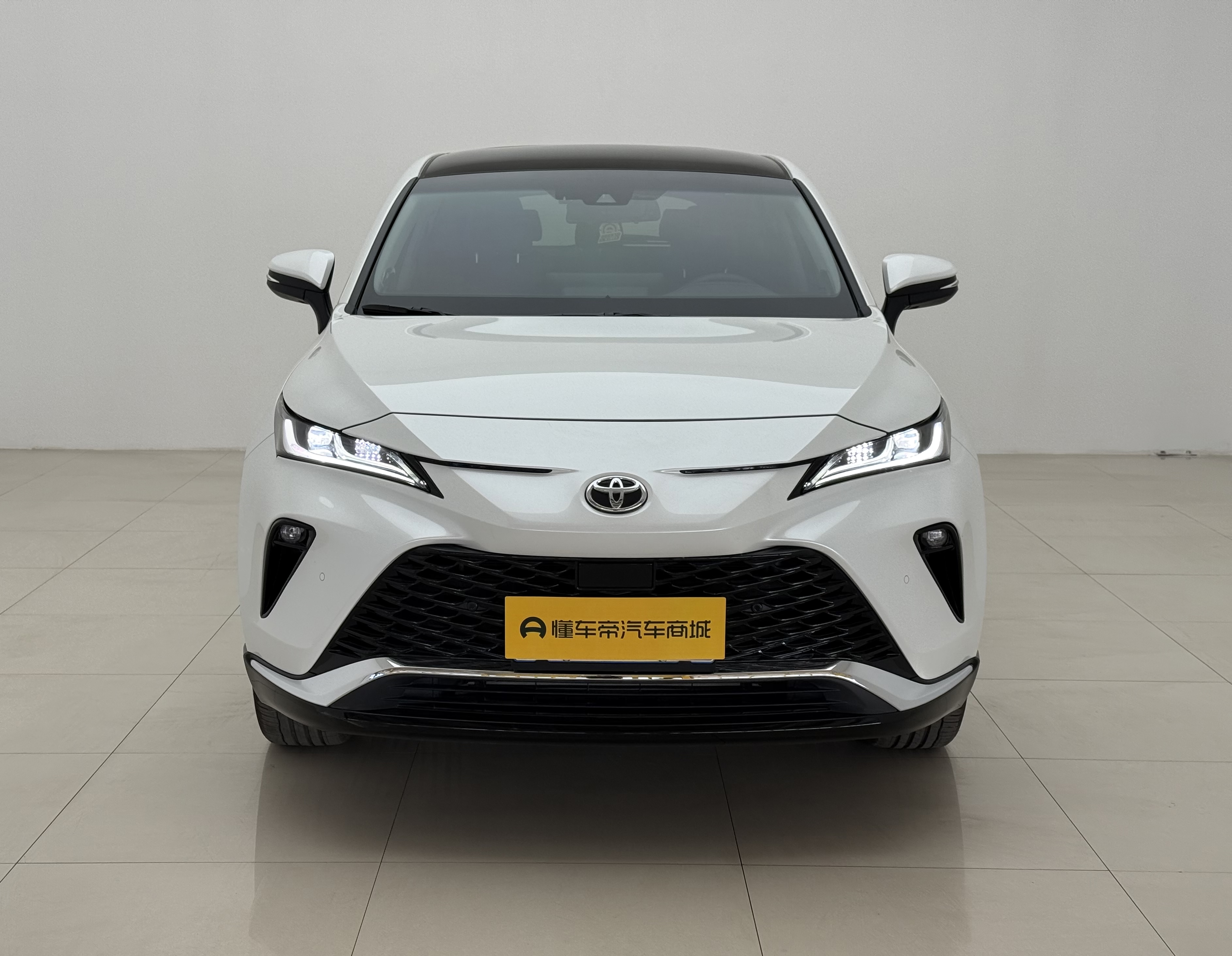 Toyota Venza 2023 汽车图片 