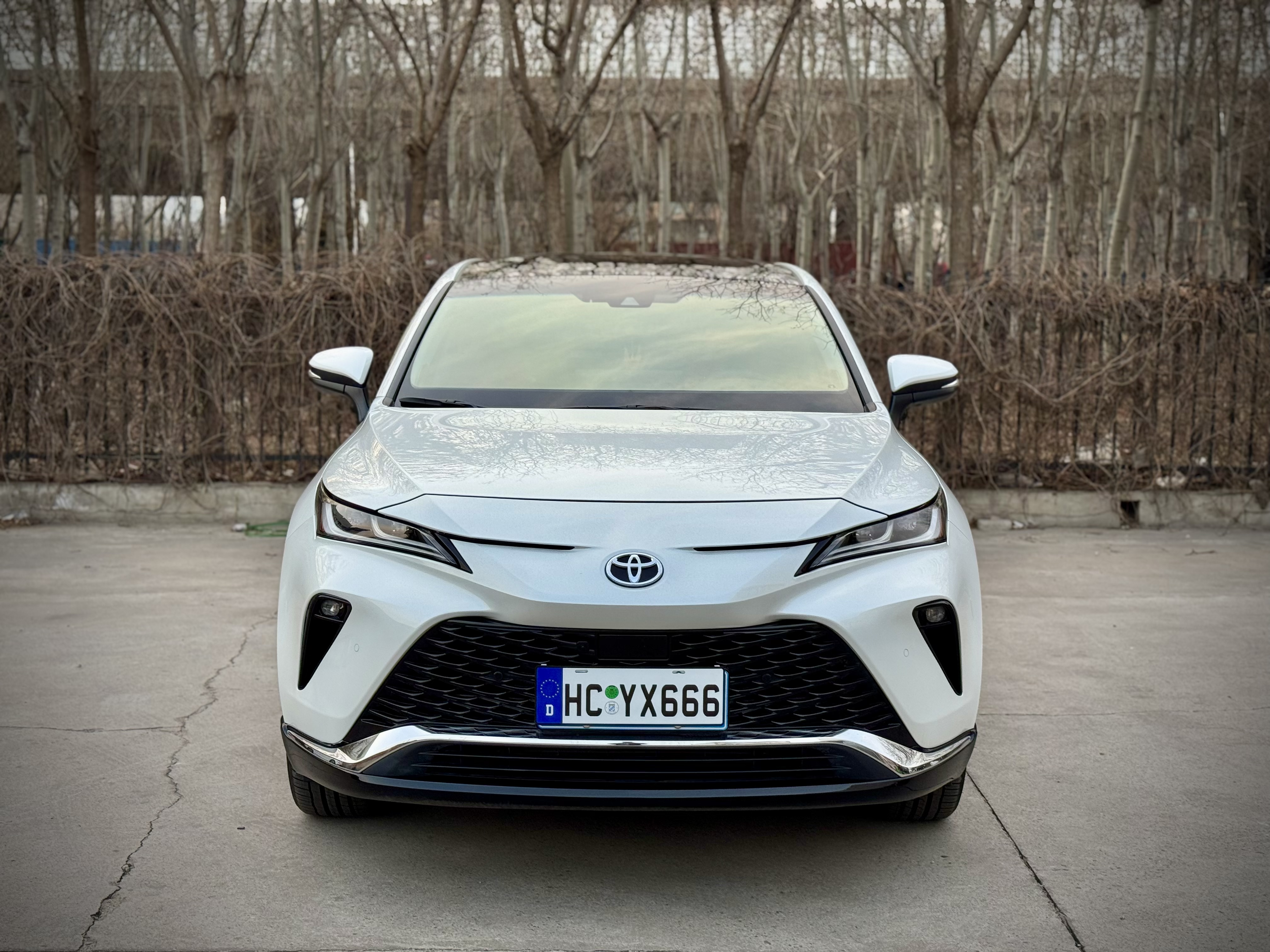 Toyota Venza 2023 汽车图片 