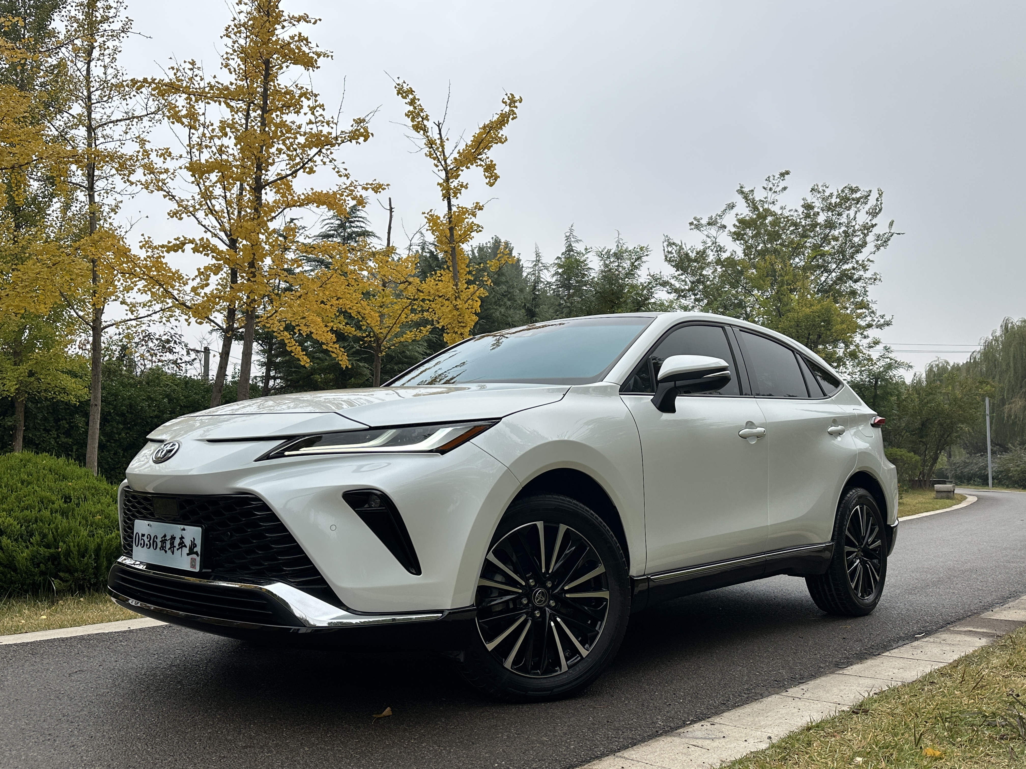 Toyota Venza 2023 Toyota Venza 2023 immagine di auto