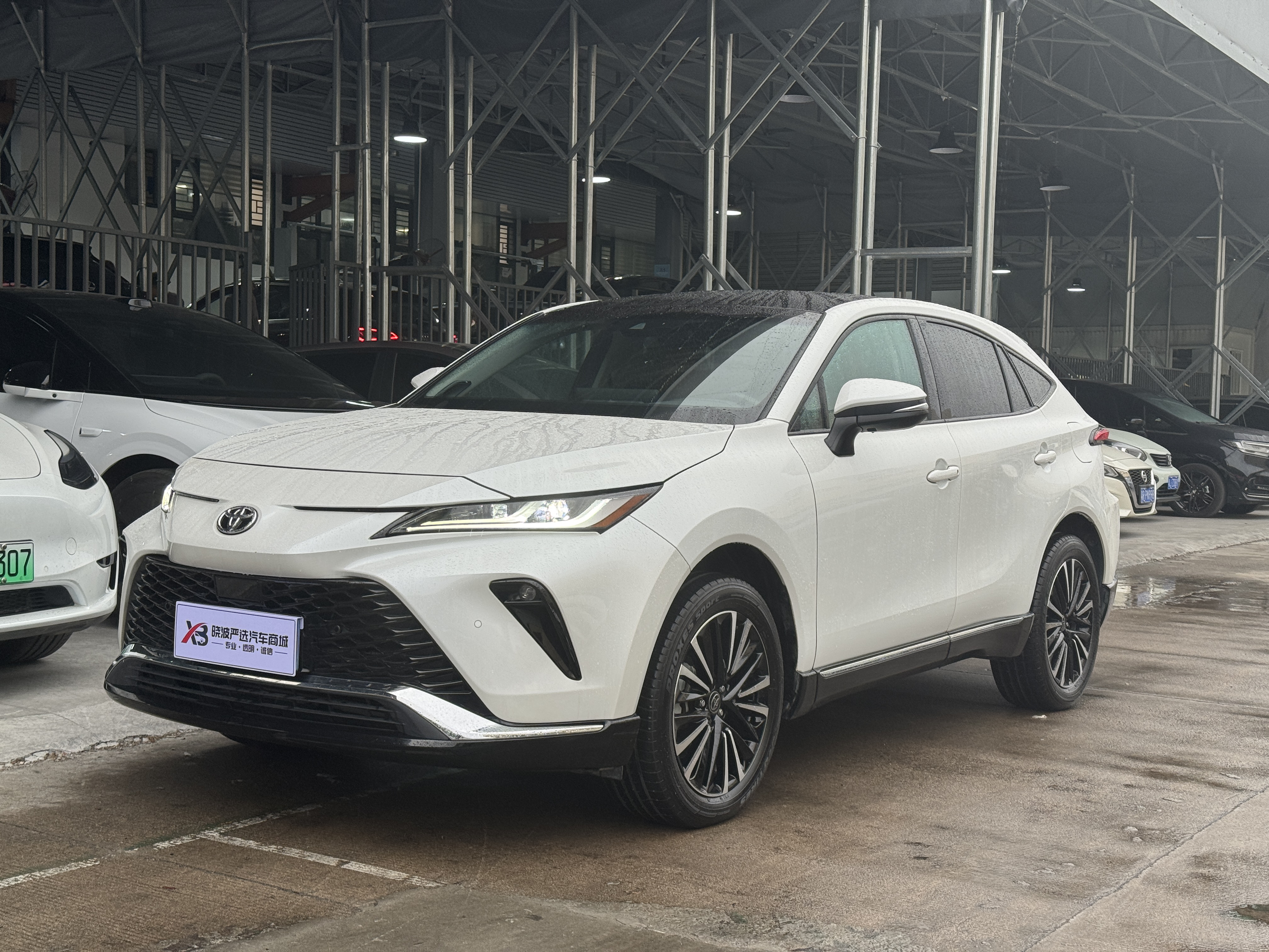 Toyota Venza 2024 Toyota Venza 2024 immagine di auto