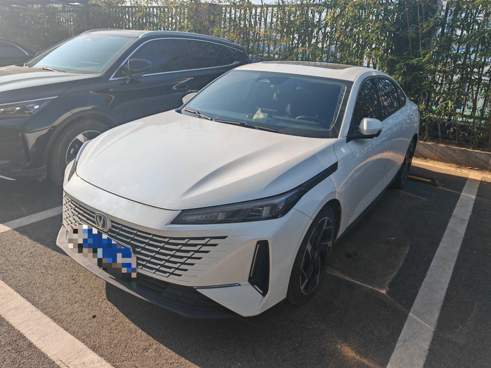 Changan Lamore 2023 Changan Lamore 2023 car image