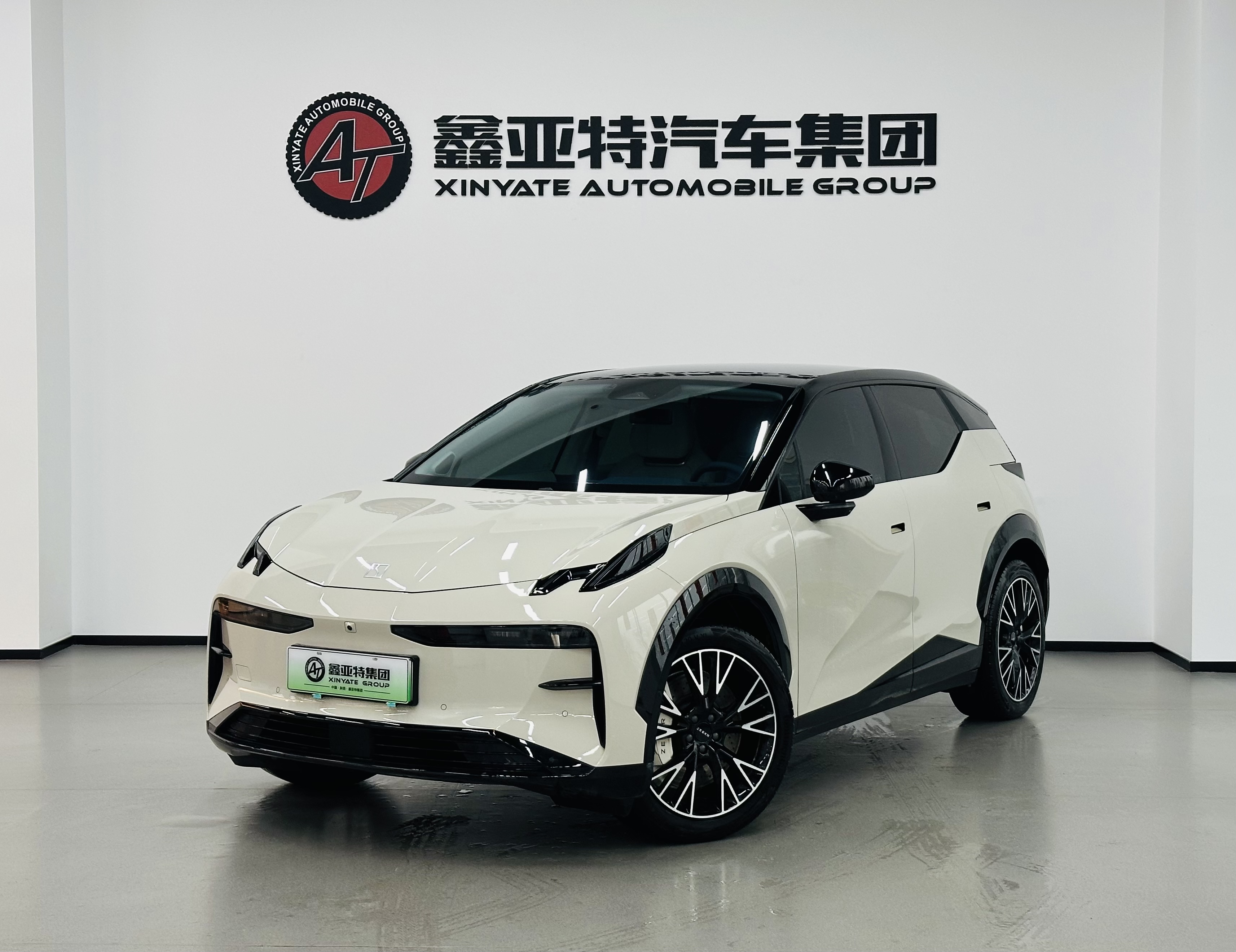 Zeekr X 2023 汽车图片 