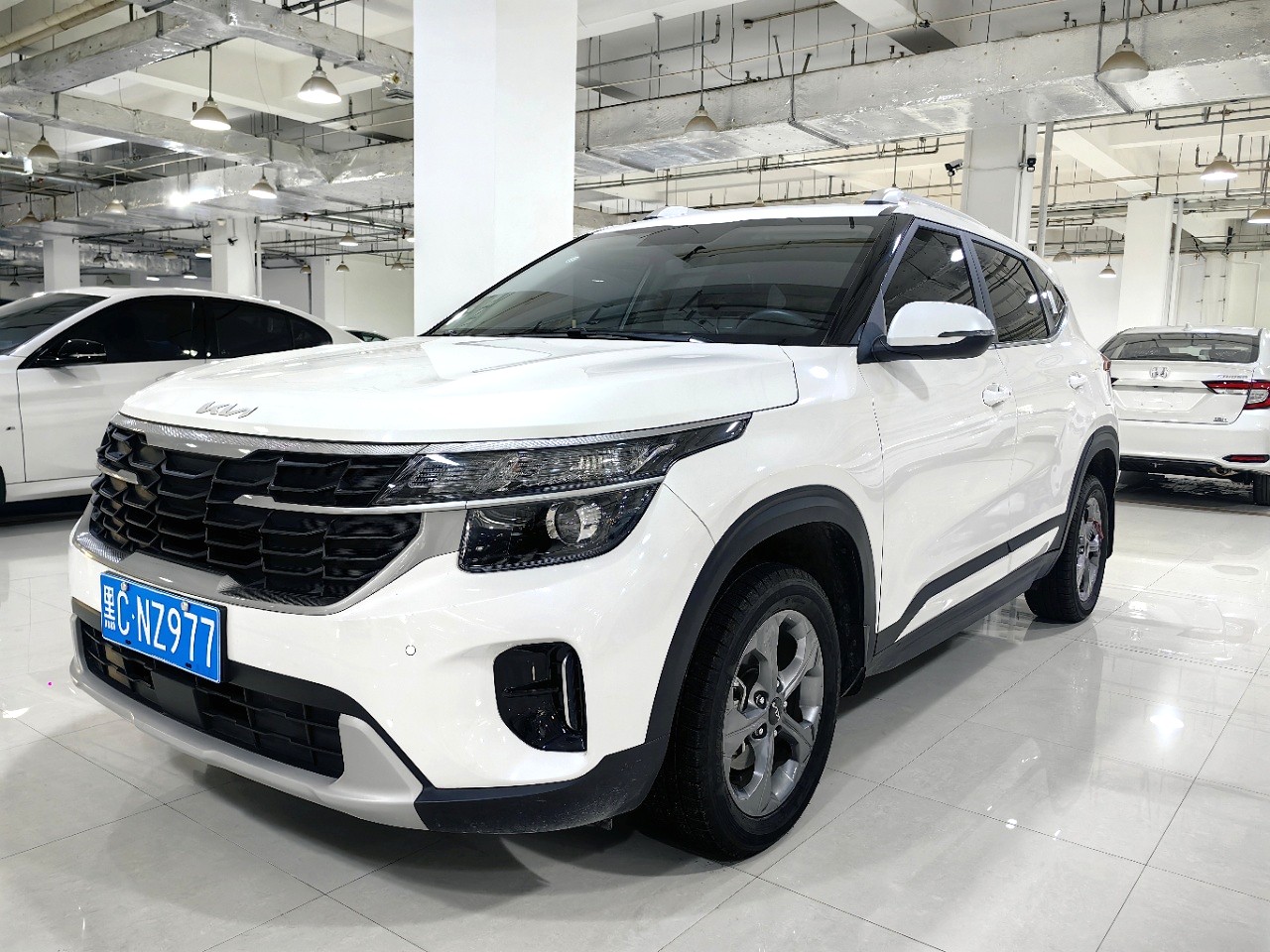 Kia Seltos 2023 汽车图片 