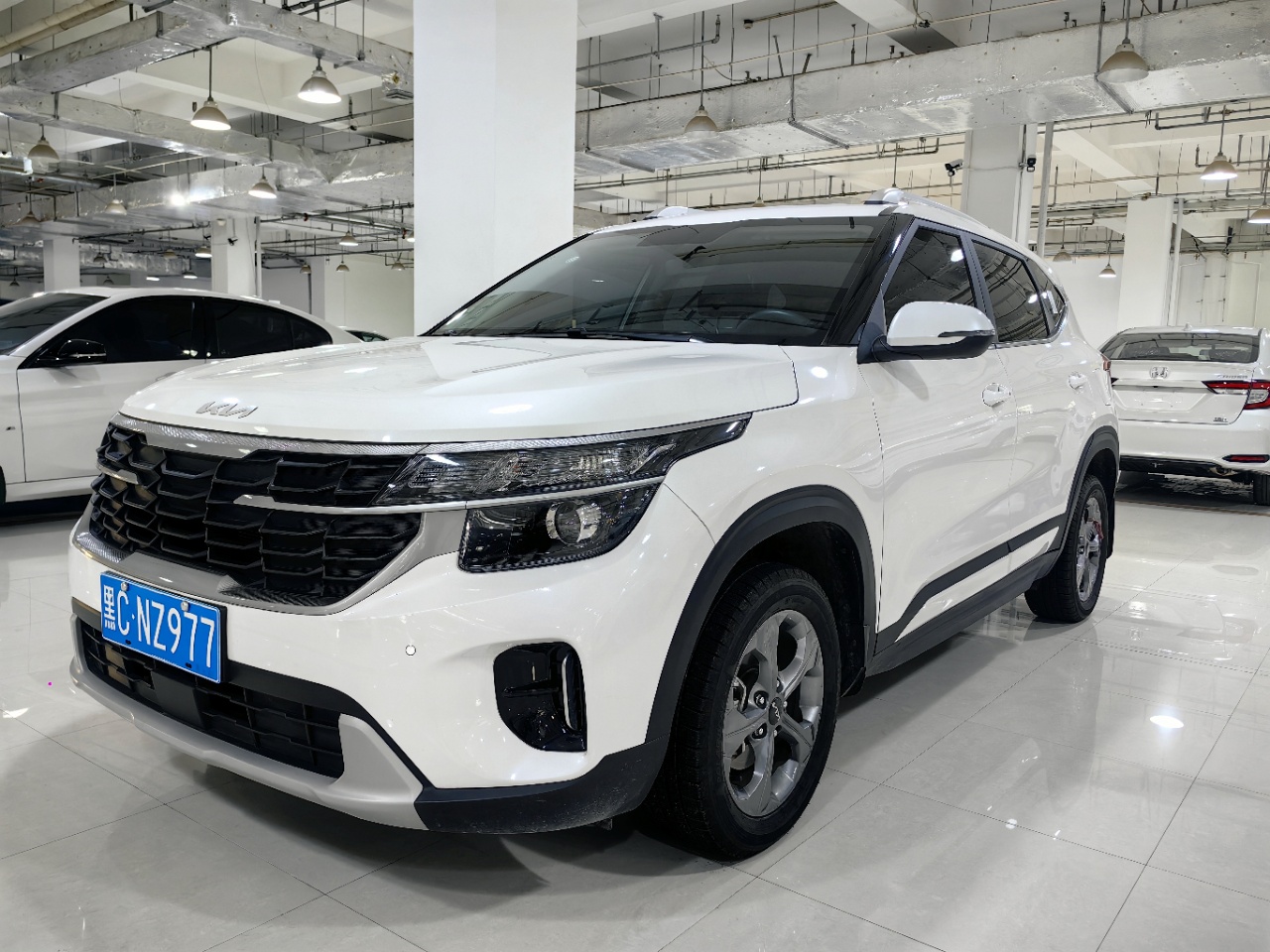 Kia Seltos 2023 汽车图片 