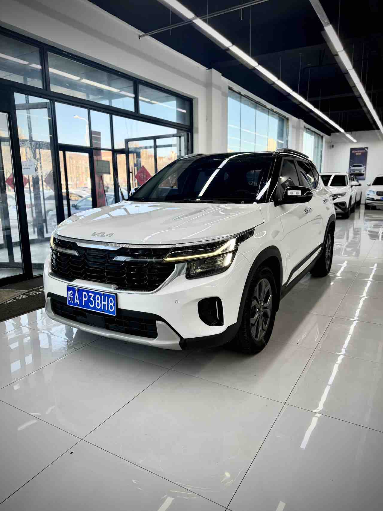 Kia Seltos 2023 汽车图片 