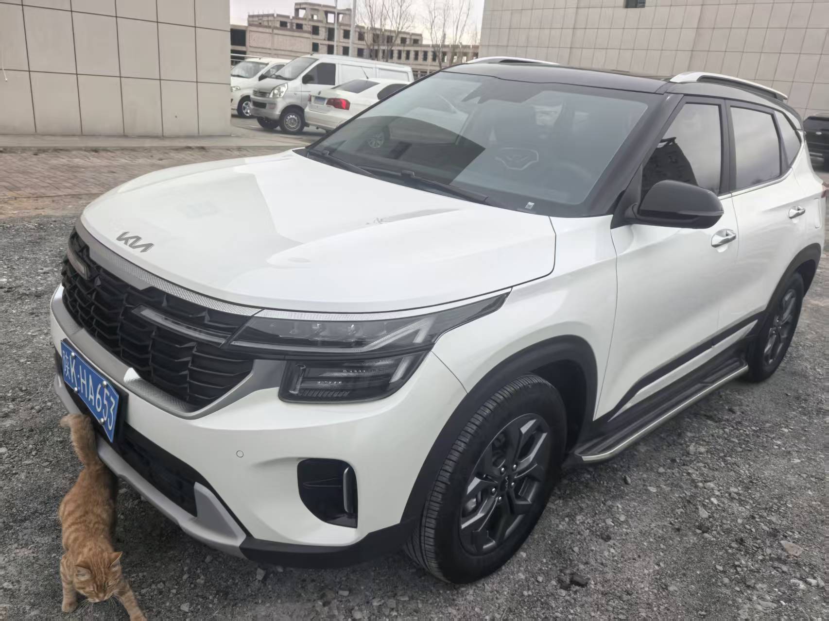 Kia Seltos 2023 汽车图片 