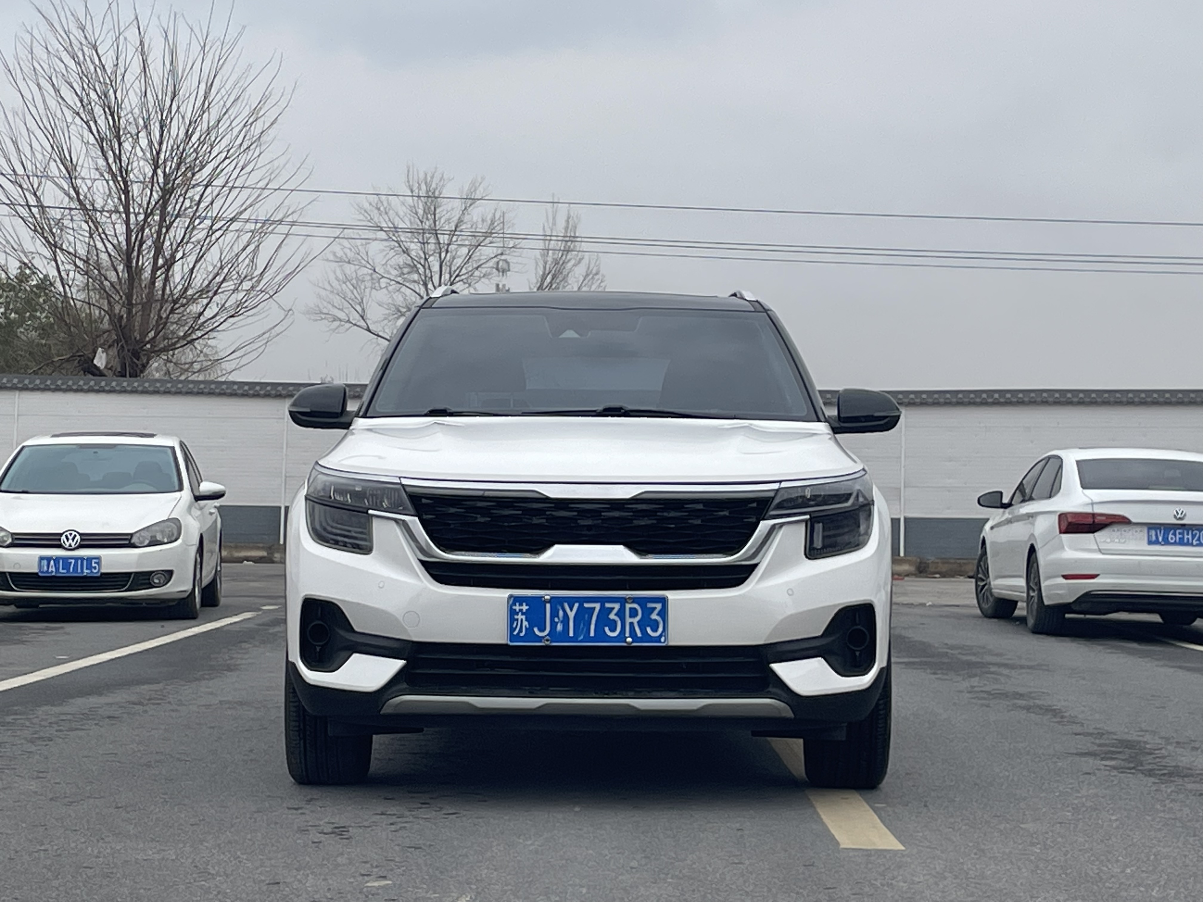 Kia Seltos 2024 汽车图片 