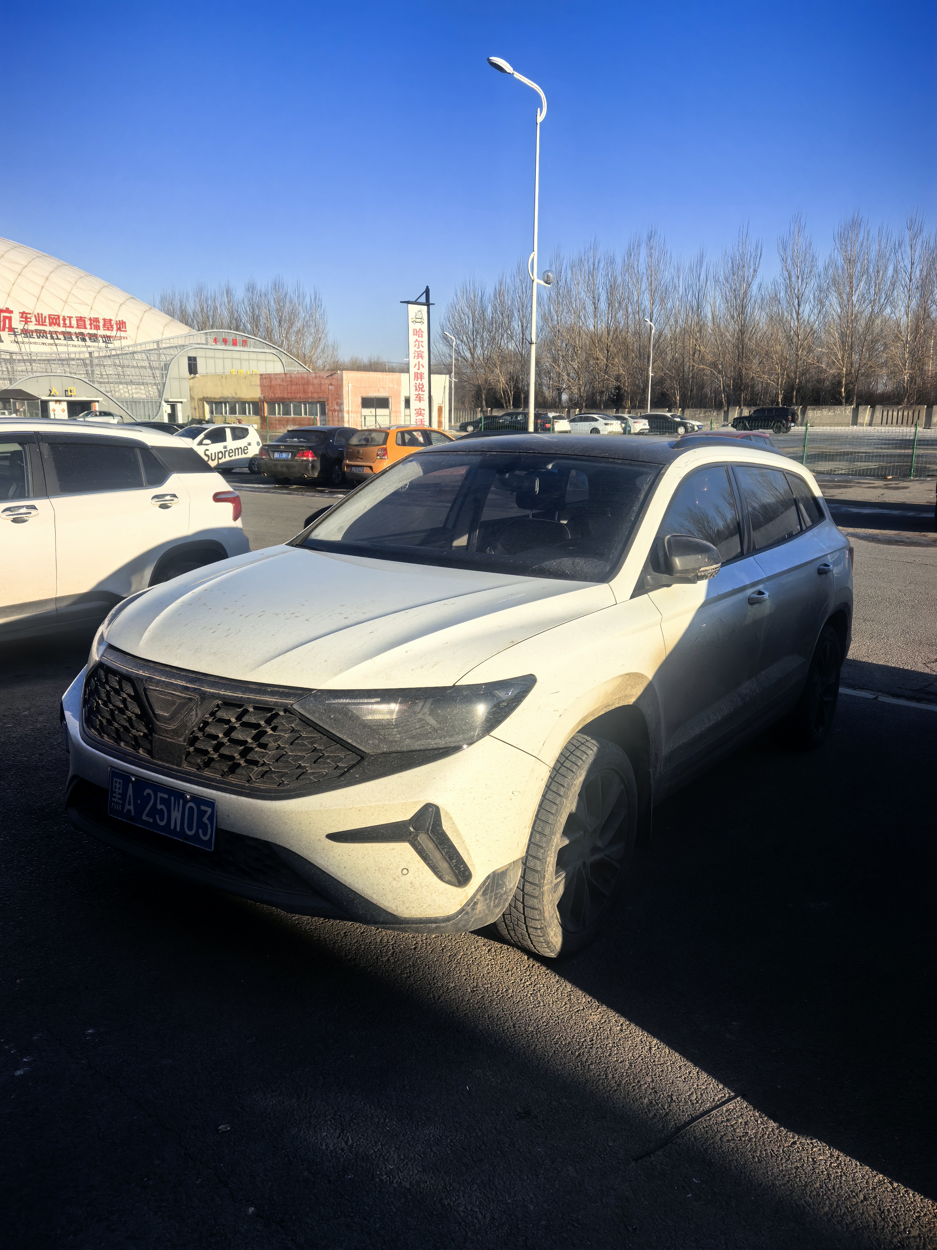 Jetta VS5 2023 汽车图片 