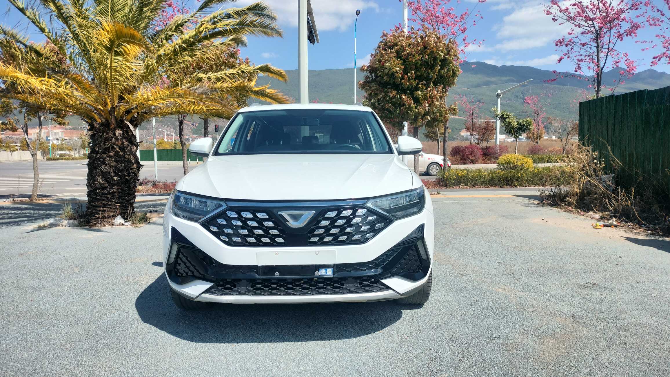VS5 2023 car image 