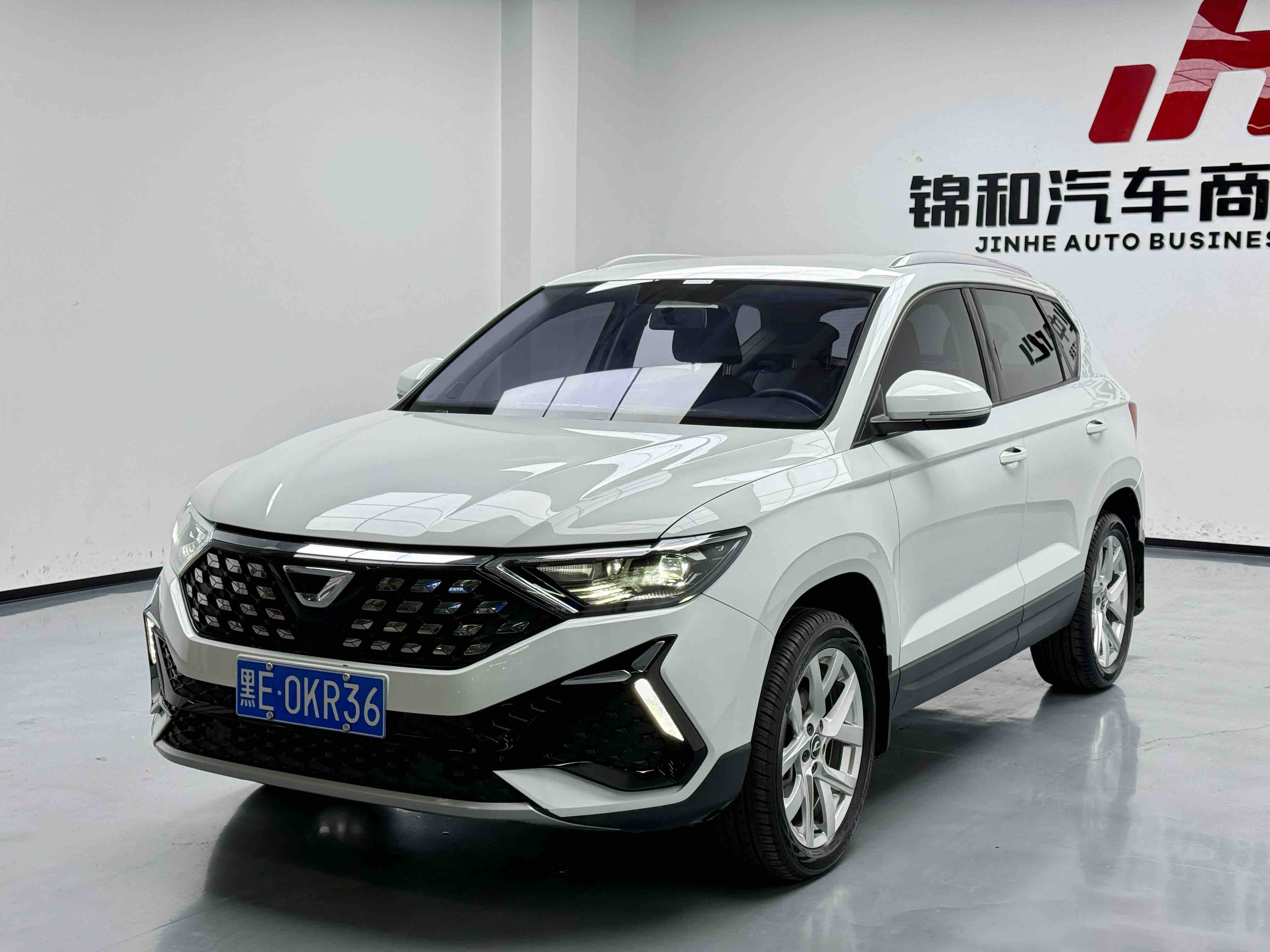 VS5 2024 VS5 2024 car image