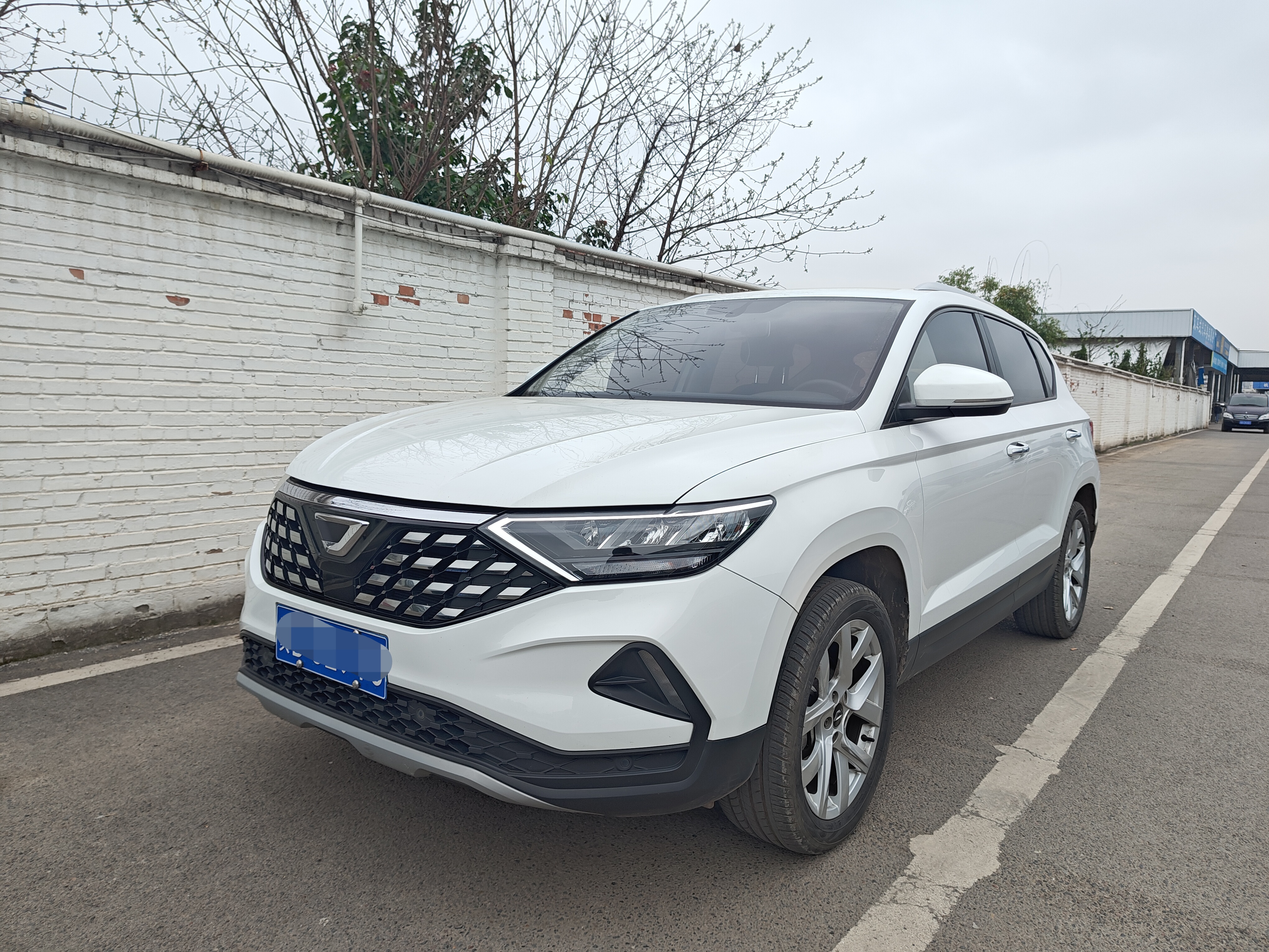 VS5 2022 VS5 2022 car image