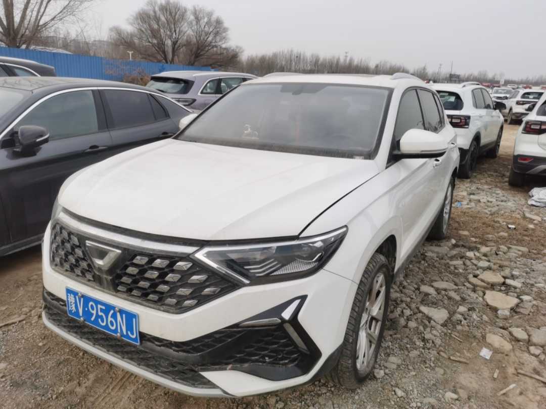VS5 2024 VS5 2024 car image