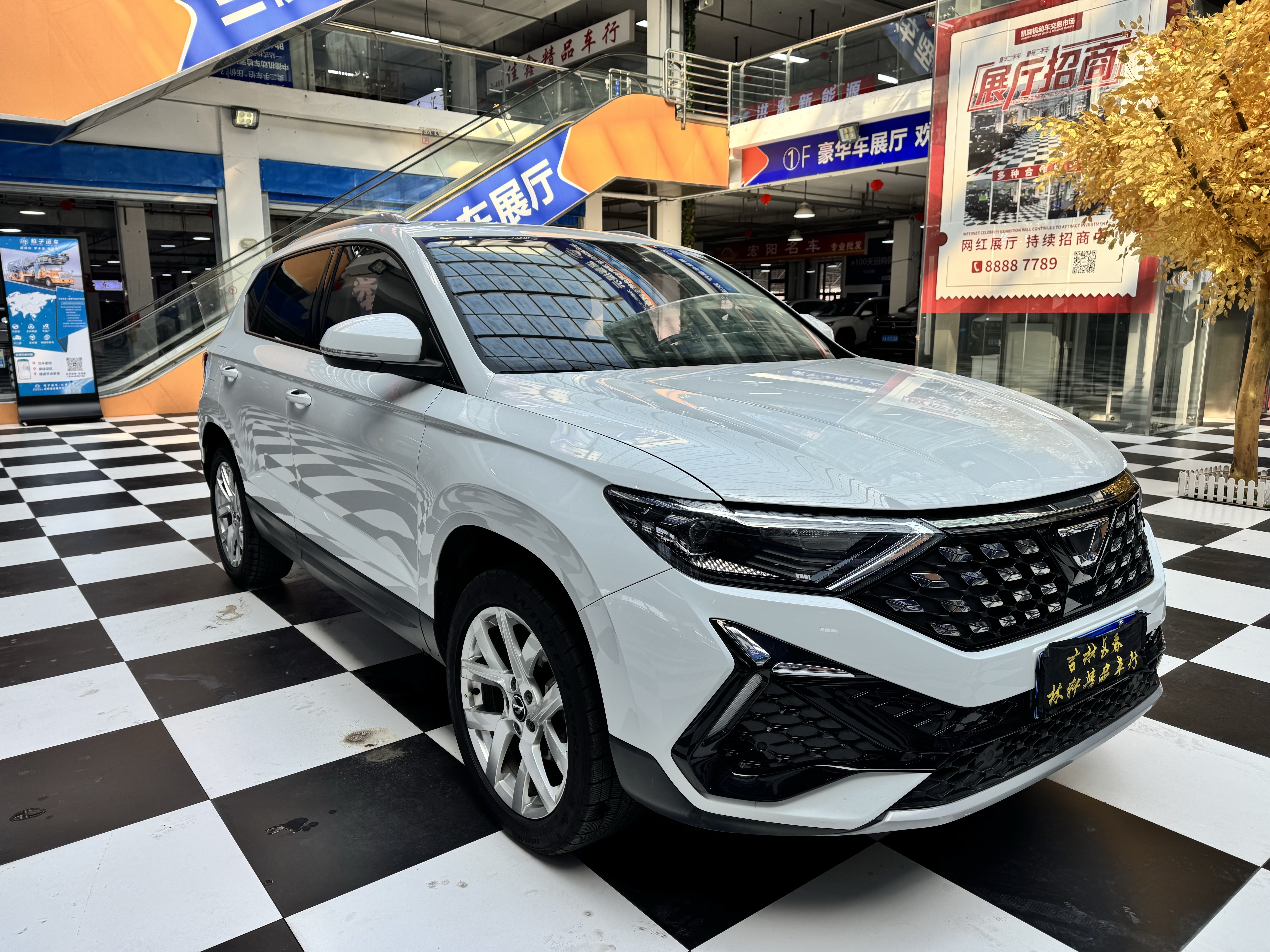 VS5 2023 car image 