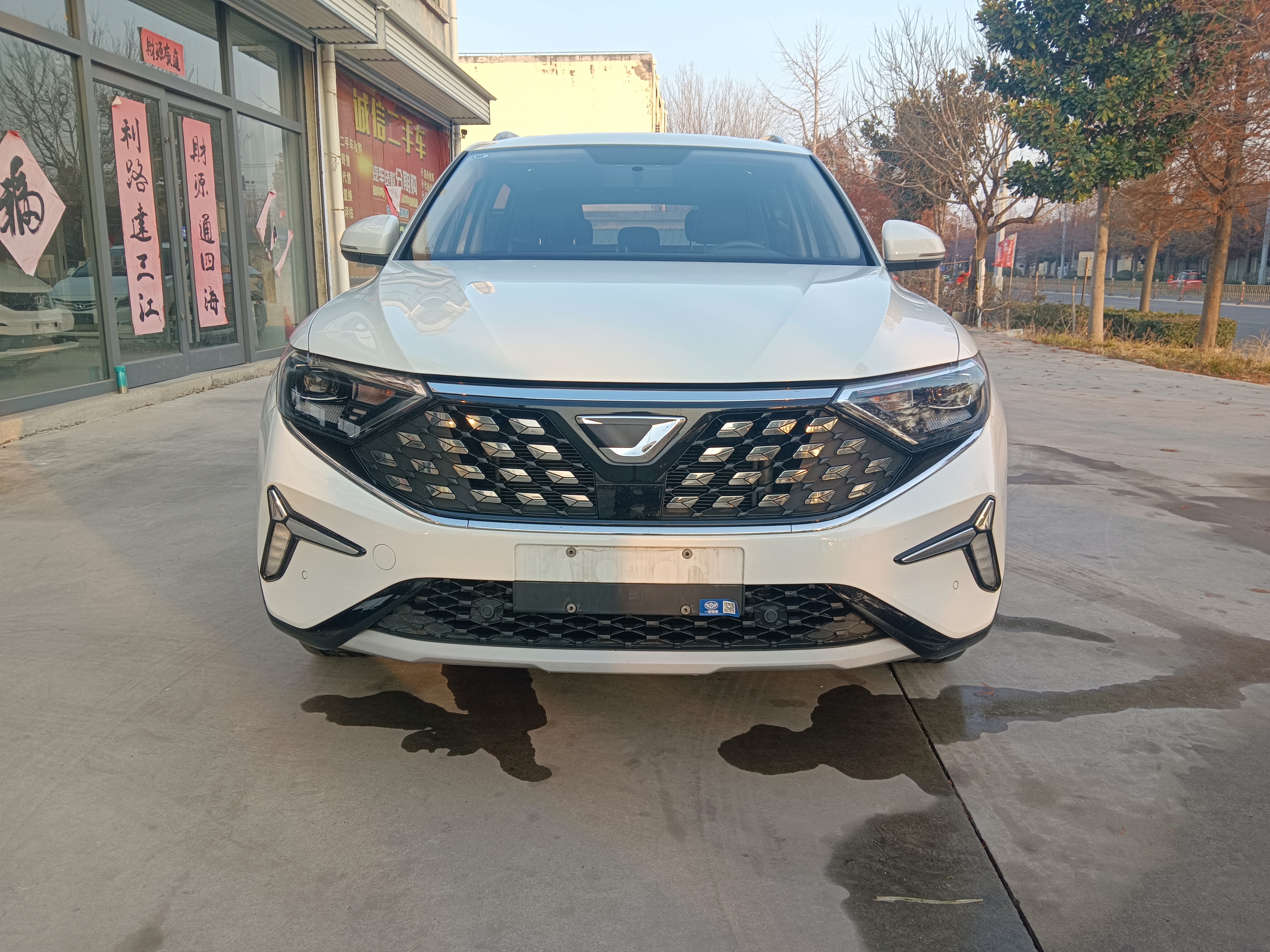 VS5 2024 VS5 2024 car image