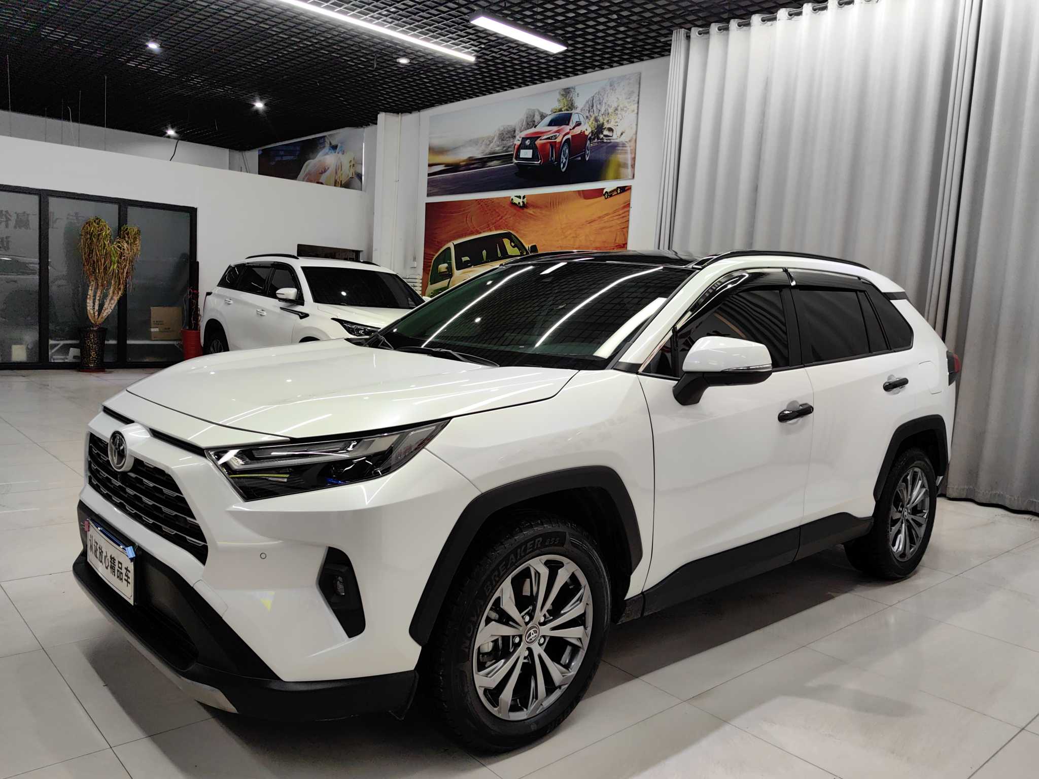 Toyota RAV4 2024 car image 