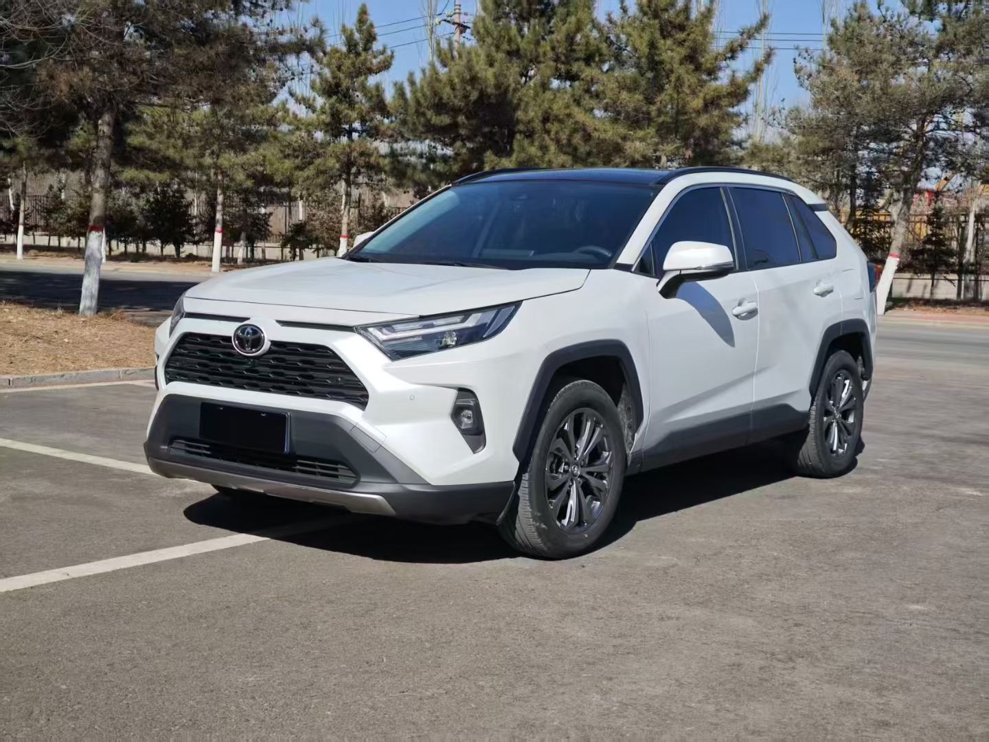 Toyota RAV4 2024 Toyota RAV4 2024 car image