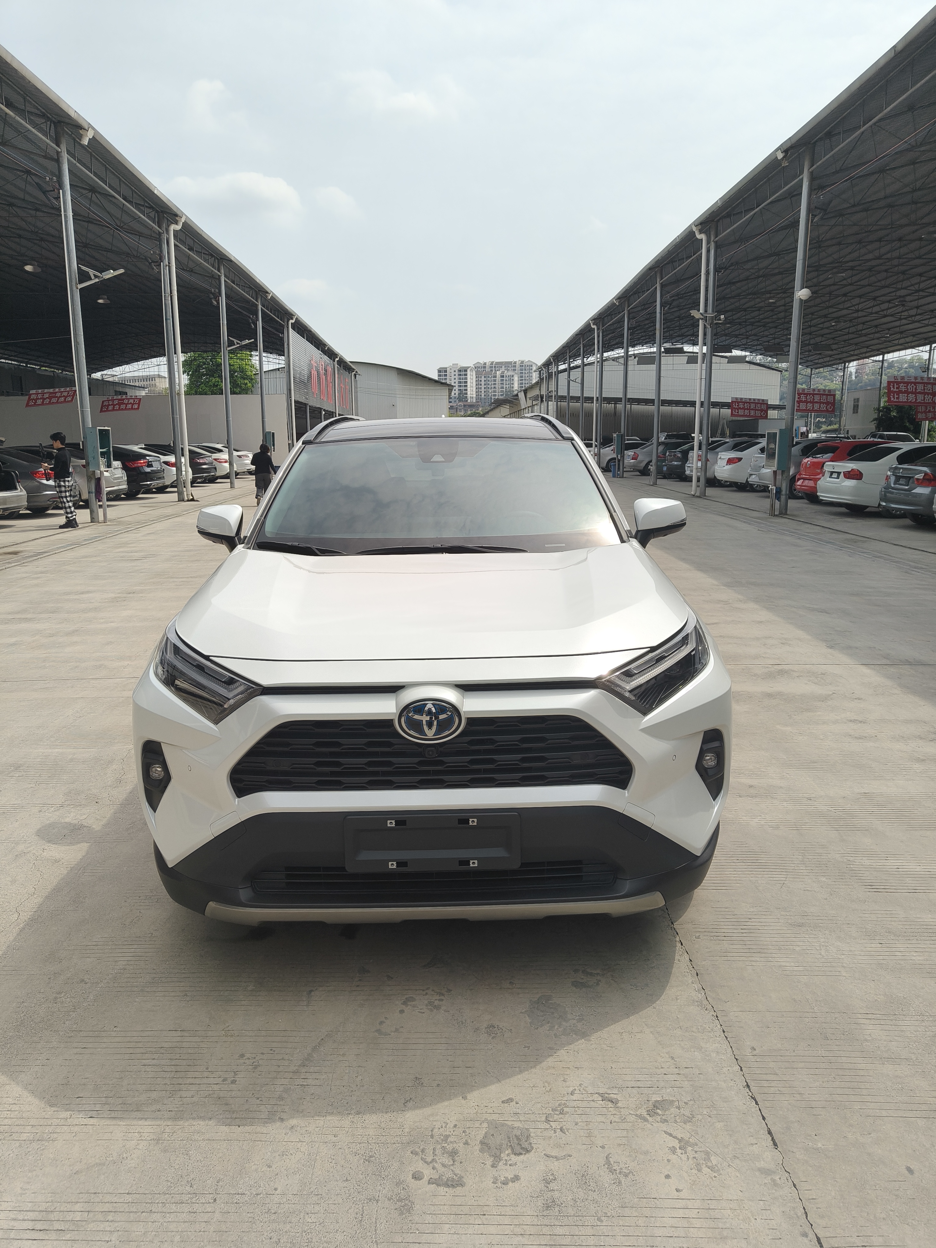 Toyota RAV4 2023 Toyota RAV4 2023 car image