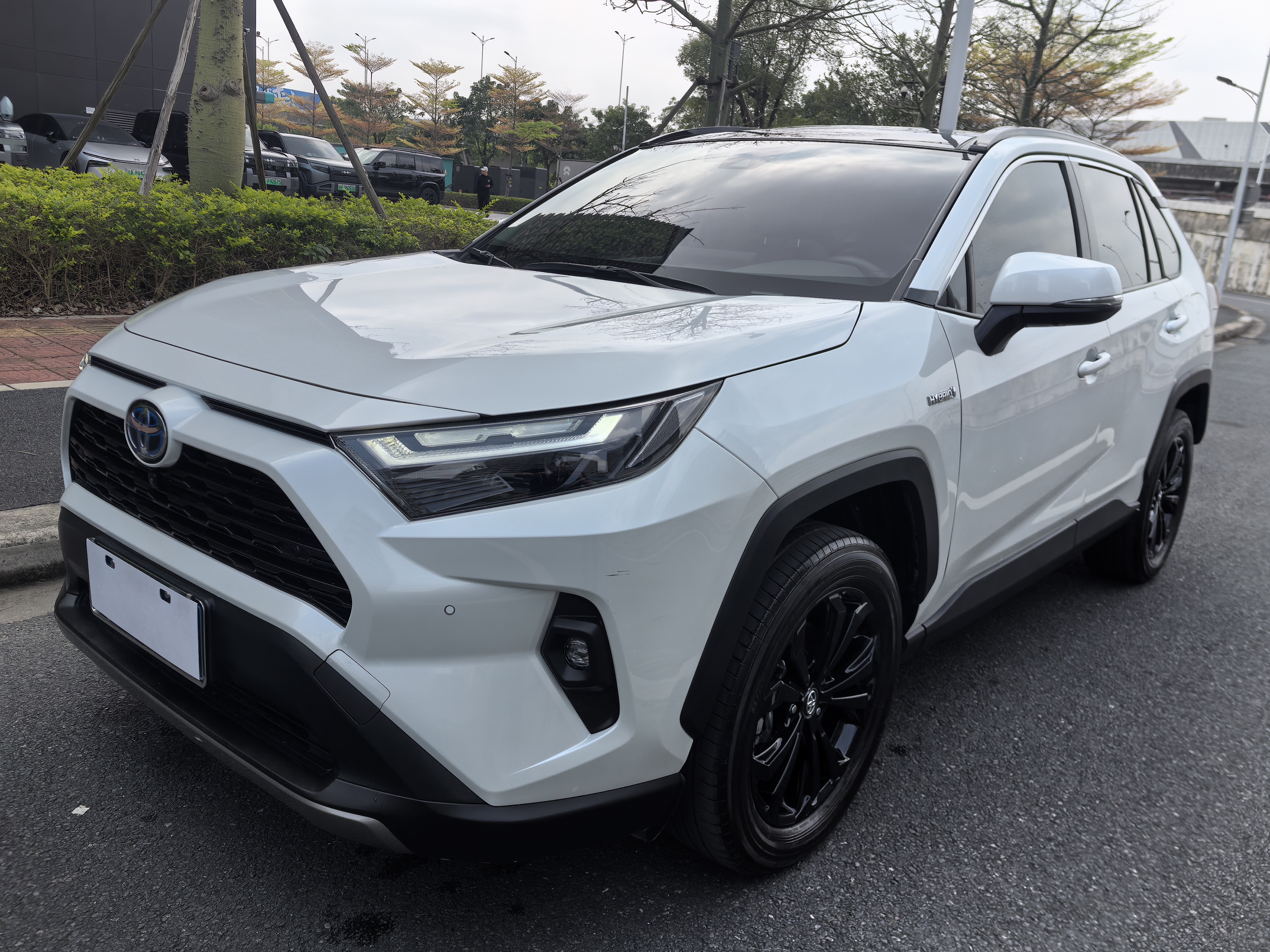 Toyota RAV4 2023 Toyota RAV4 2023 car image