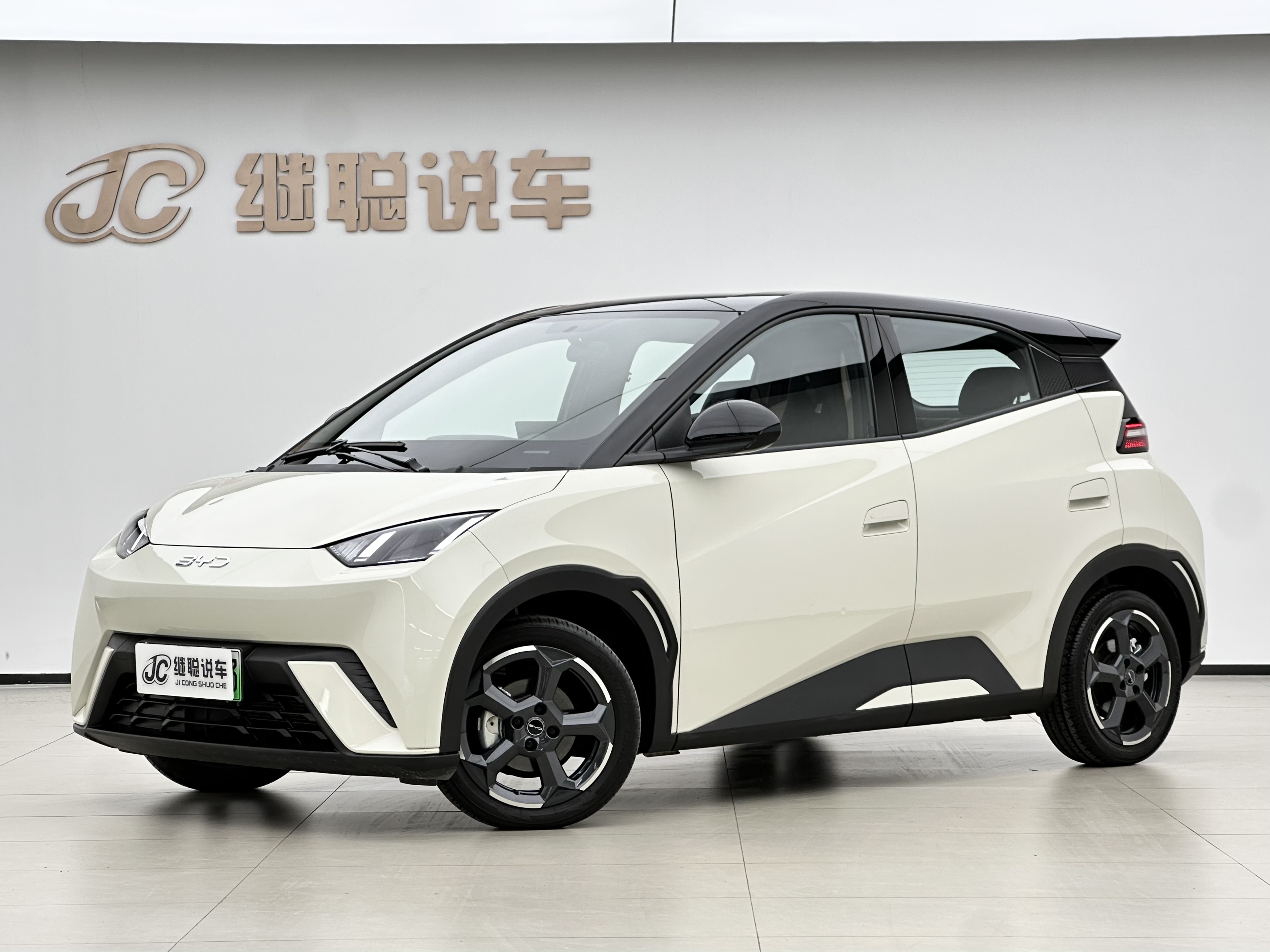 BYD Seagull 2023 car image 