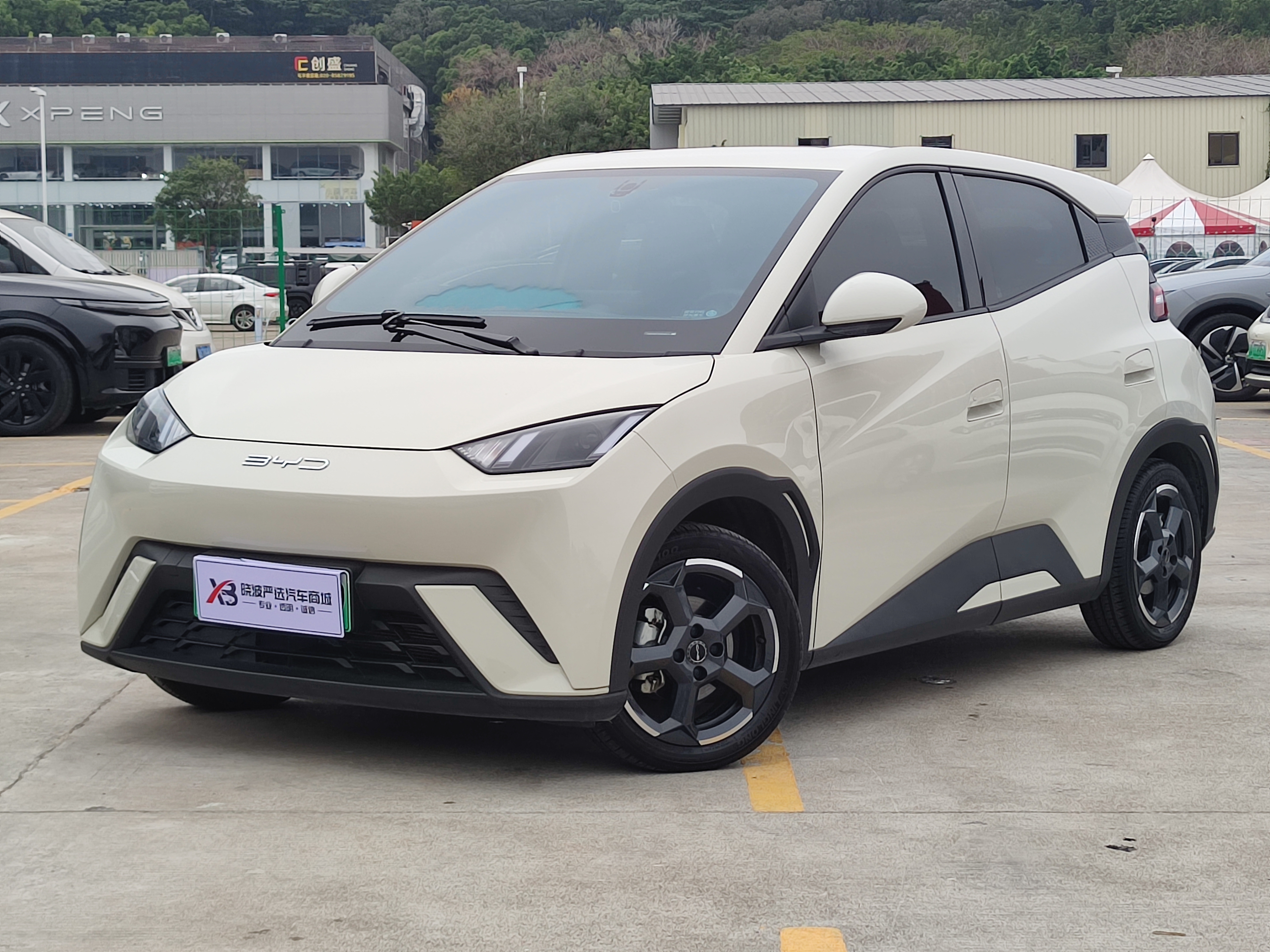 BYD Seagull 2024 immagine di auto 