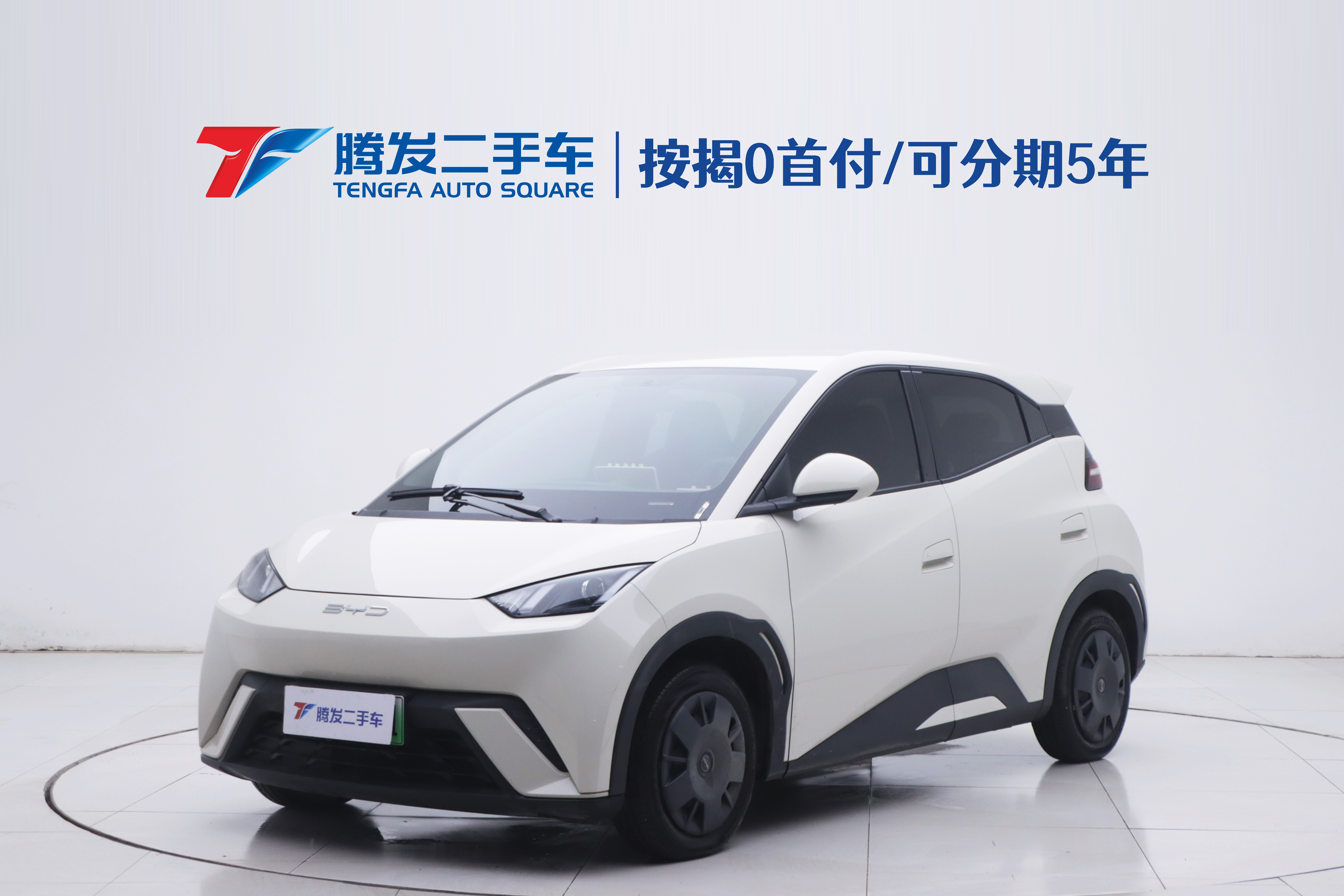 BYD Seagull 2024 car image 