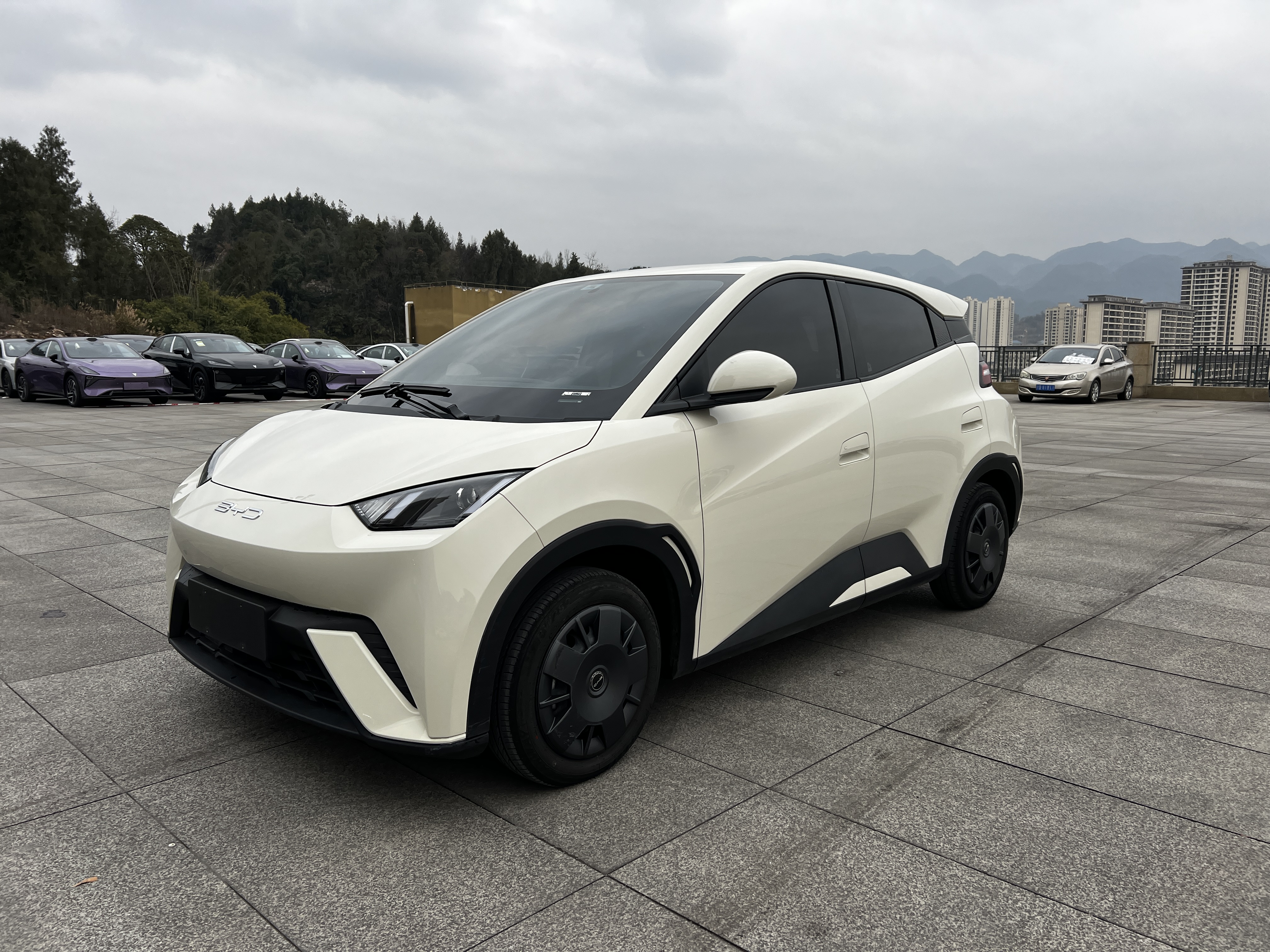 BYD Seagull 2024 car image 